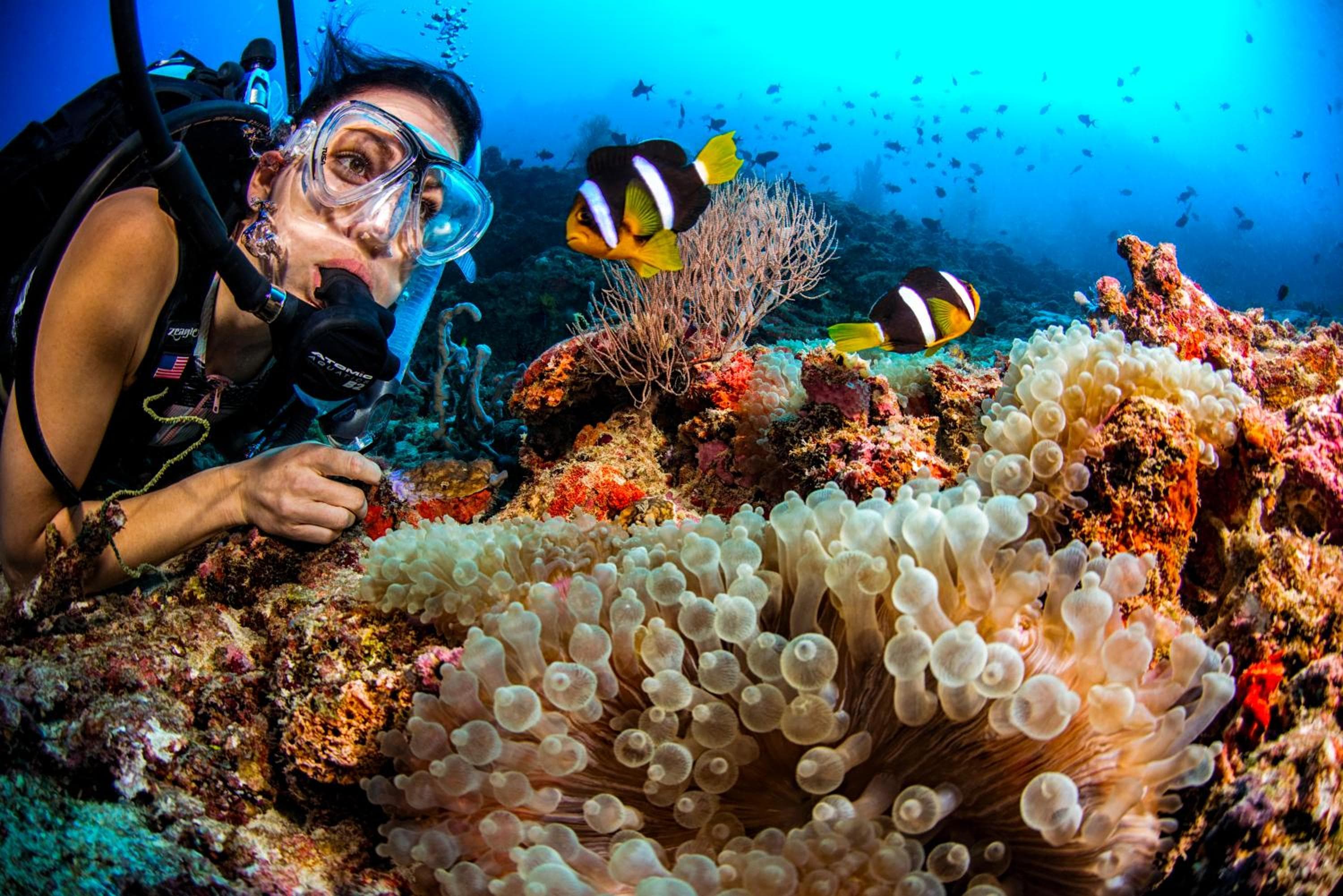 Dusit Thani Maldives - 50 percent off on Transfers for Stays of 5 Nights stay until 20 December 2026 - View 87