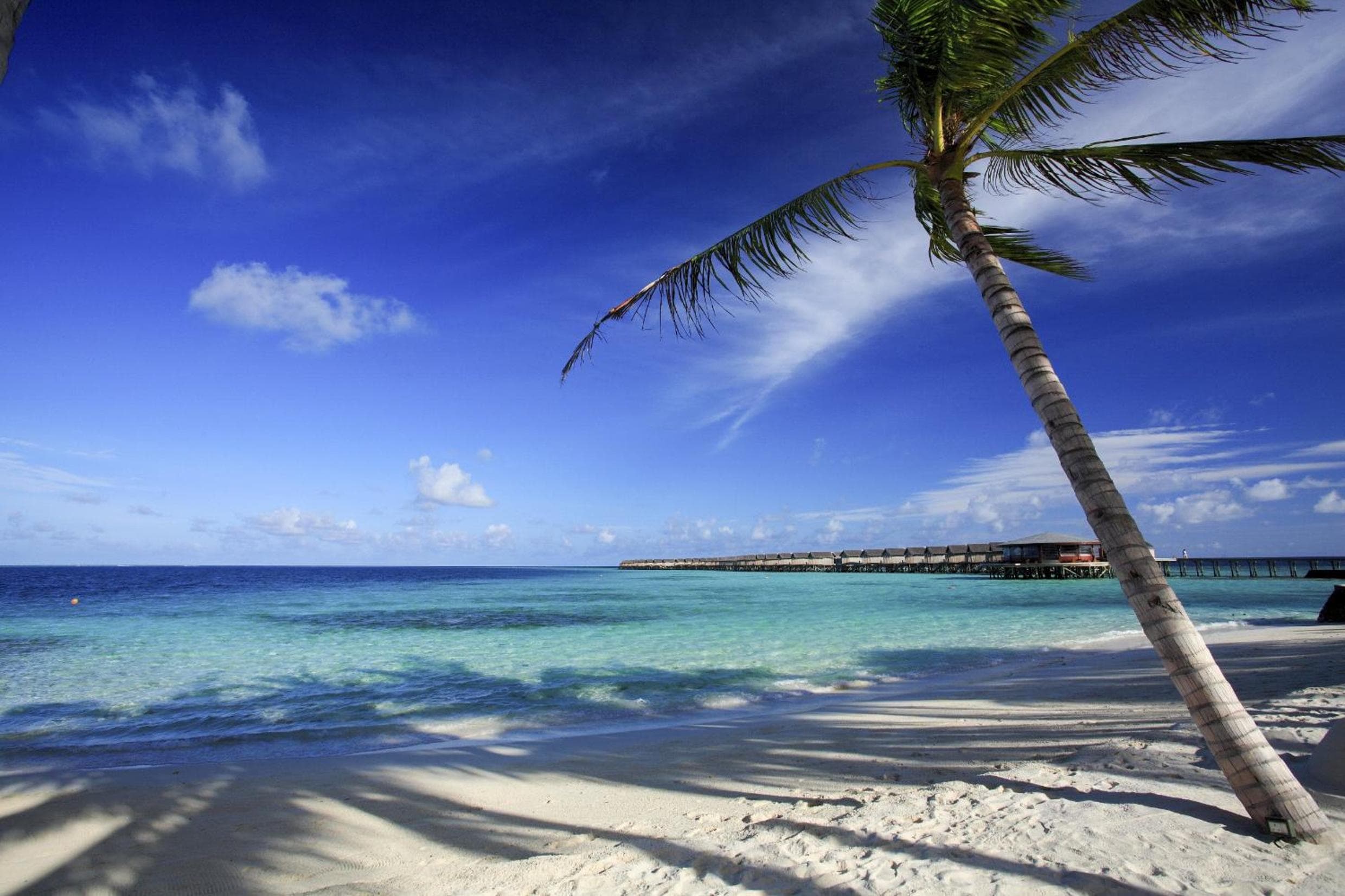 Centara Ras Fushi Resort & Spa Maldives - 50 percent discount on transfers for min 4 nights stay and more, valid for reservations between 11th Feb till 22 - View 43