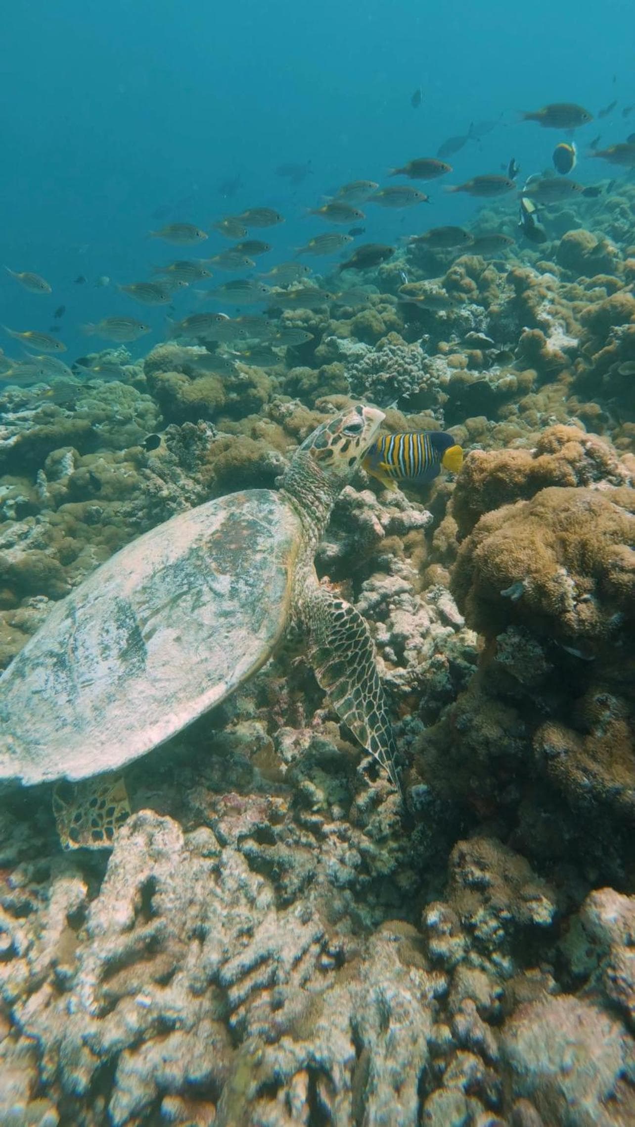 Viluveli Holiday Retreat - Special offer Available - Valid till January 15th 2026 - View 4