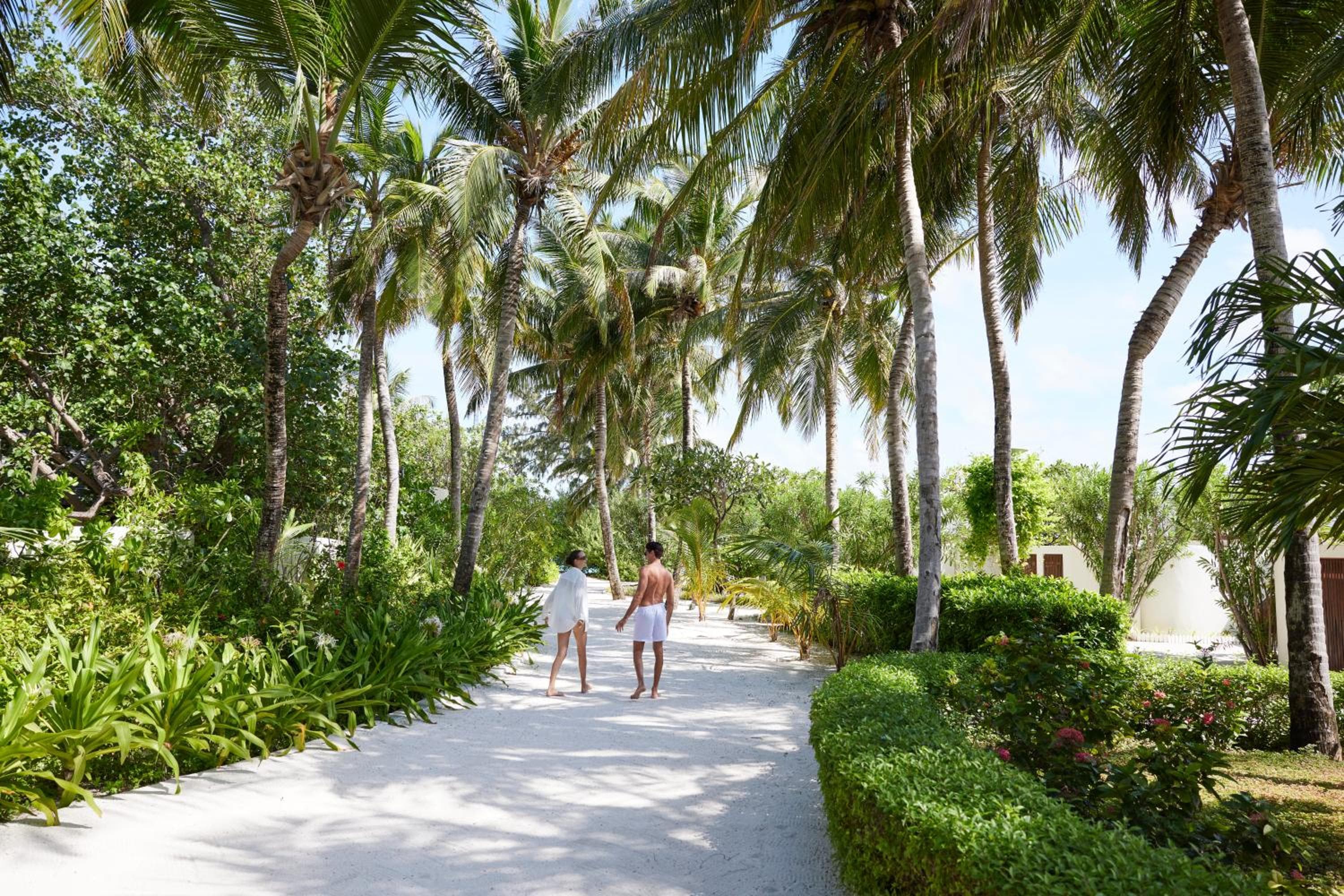 Centara Ras Fushi Resort & Spa Maldives - 50 percent discount on transfers for min 4 nights stay and more, valid for reservations between 11th Feb till 22 - View 91