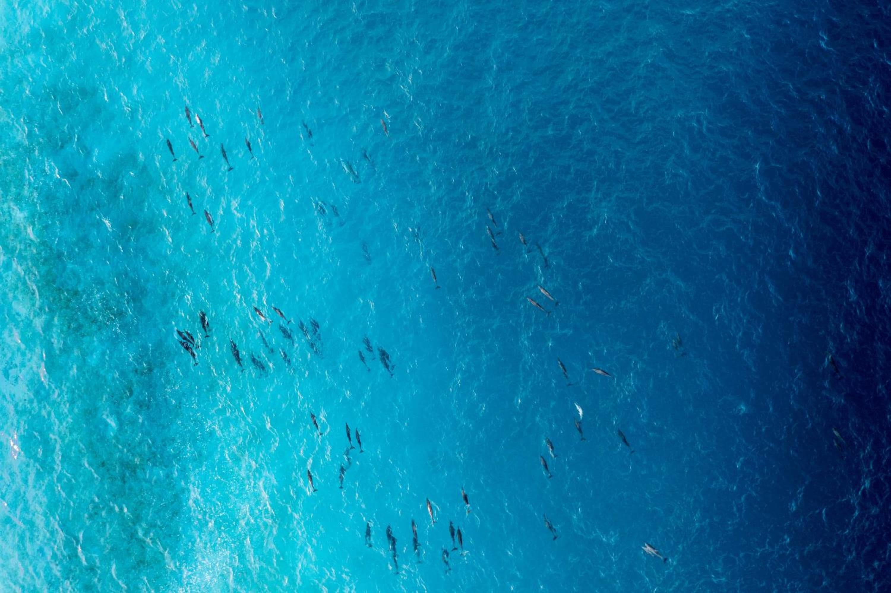 Radisson Blu Resort Maldives with 50 percent off on Sea Plane round trip 03 nights & above - View 37