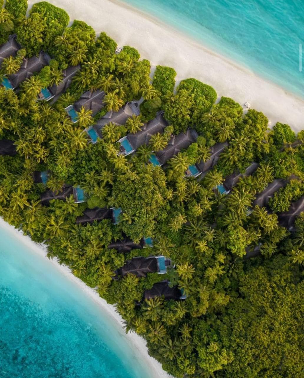 Coco Bodu Hithi - 50 percent off shared roundtrip Speedboat for stays from 1 Sep to 23 Dec 2025 - View 95