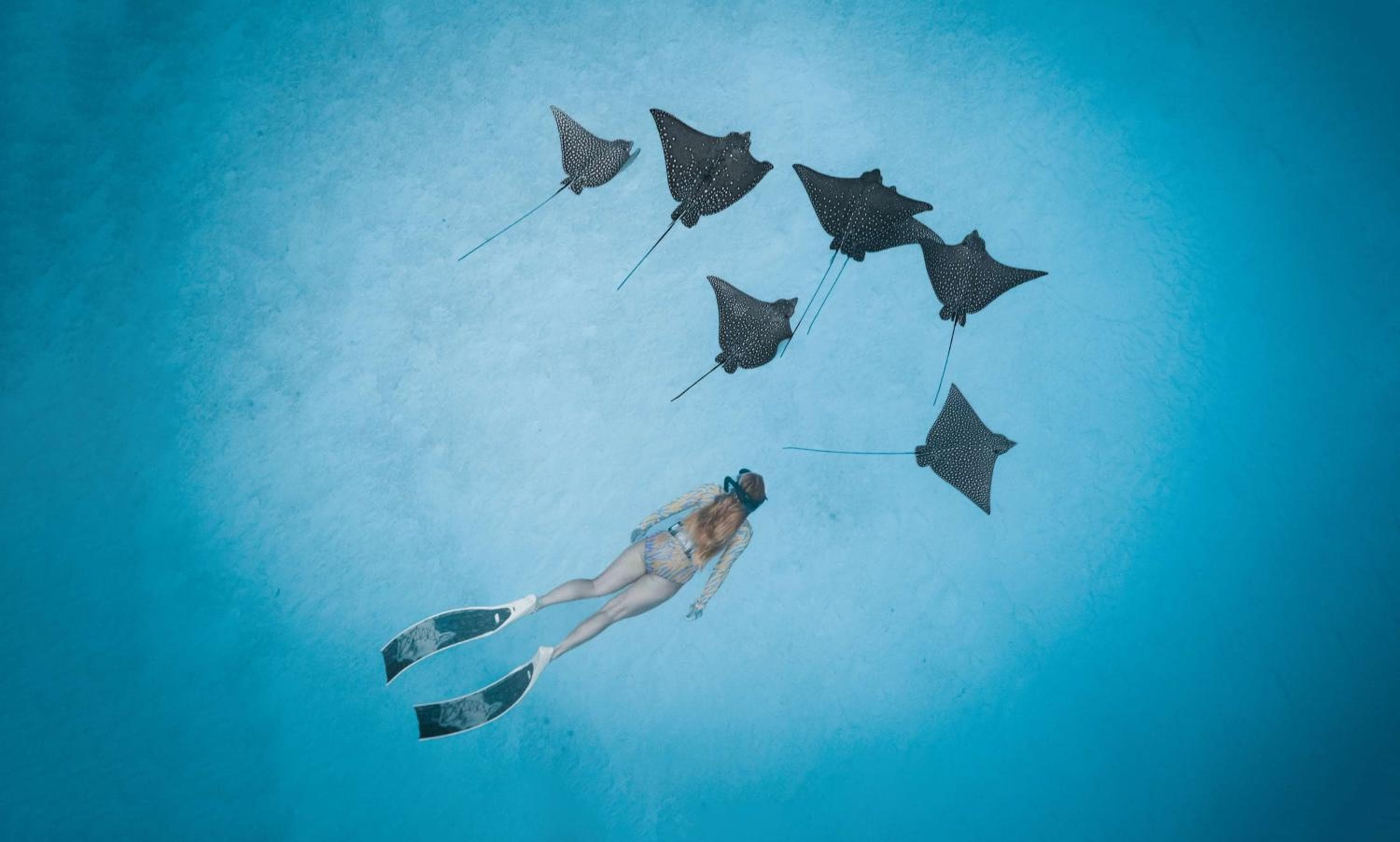 Radisson Blu Resort Maldives with 50 percent off on Sea Plane round trip 03 nights & above - View 61