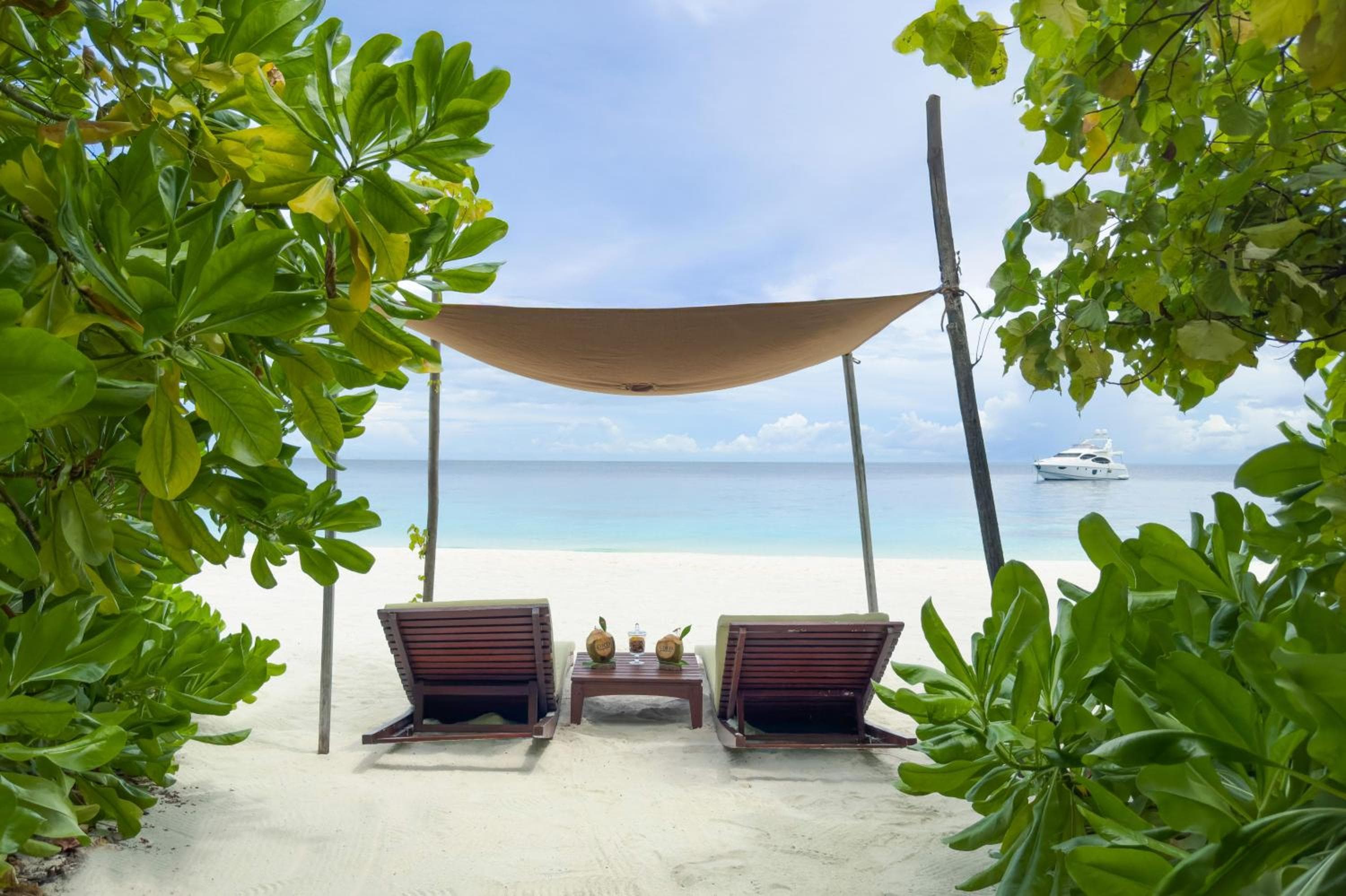 Coco Bodu Hithi - 50 percent off shared roundtrip Speedboat for stays from 1 Sep to 23 Dec 2025 - View 4