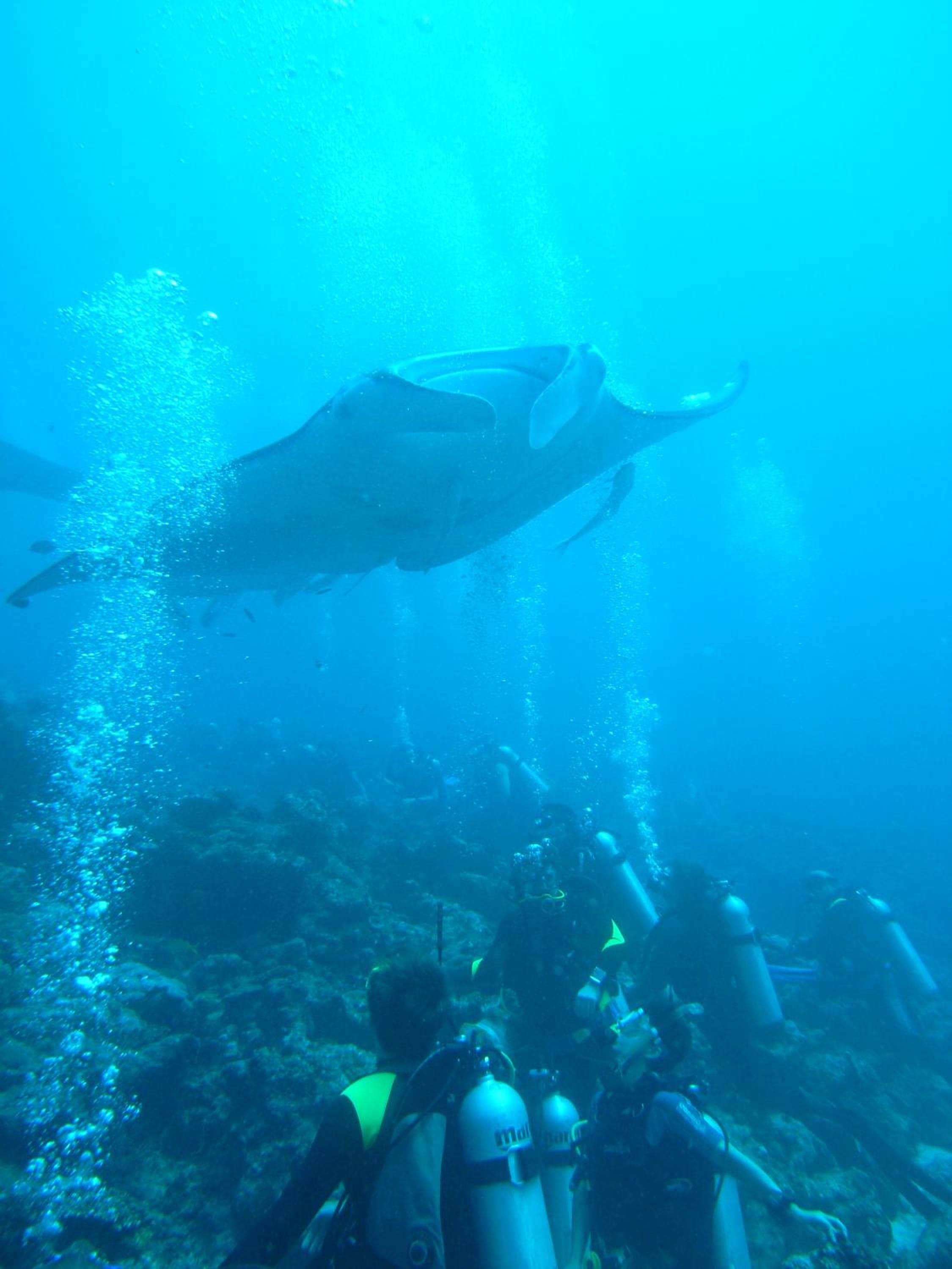 Adaaran Select Huduran Fushi - Free Dine around Premium All Inclusive 24 hours - 45 mins by Speedboat - View 143