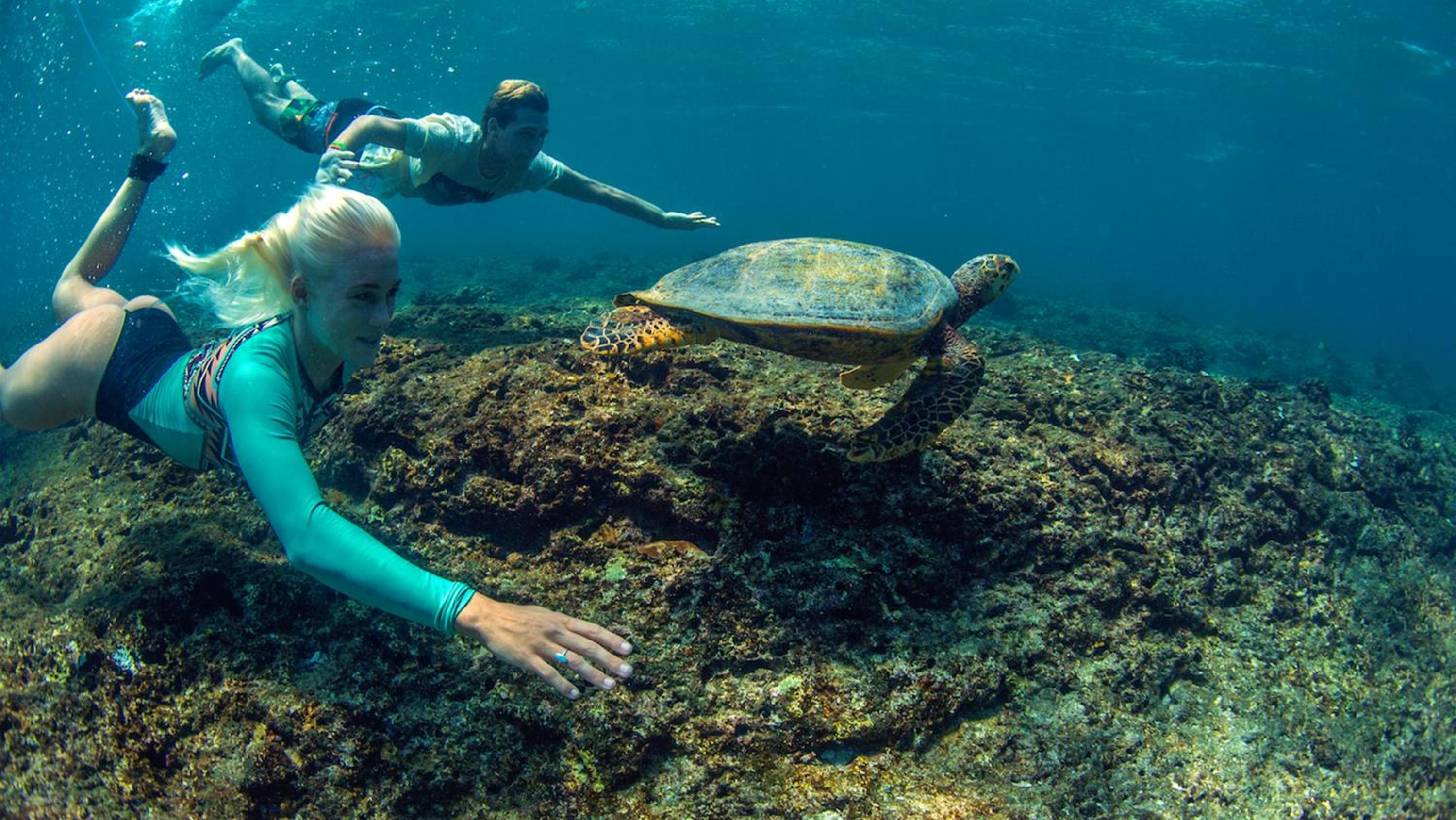 Adaaran Select Huduran Fushi - Free Dine around Premium All Inclusive 24 hours - 45 mins by Speedboat - View 120