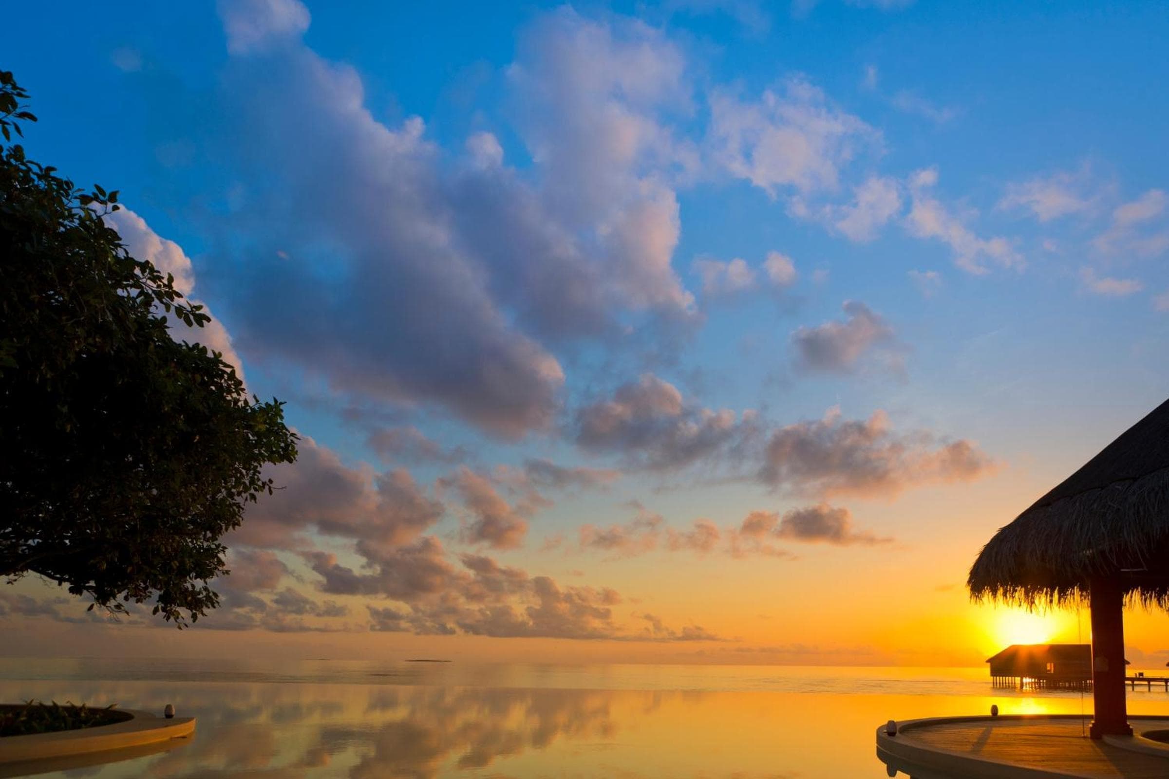 Dusit Thani Maldives - 50 percent off on Transfers for Stays of 5 Nights stay until 20 December 2026 - View 101