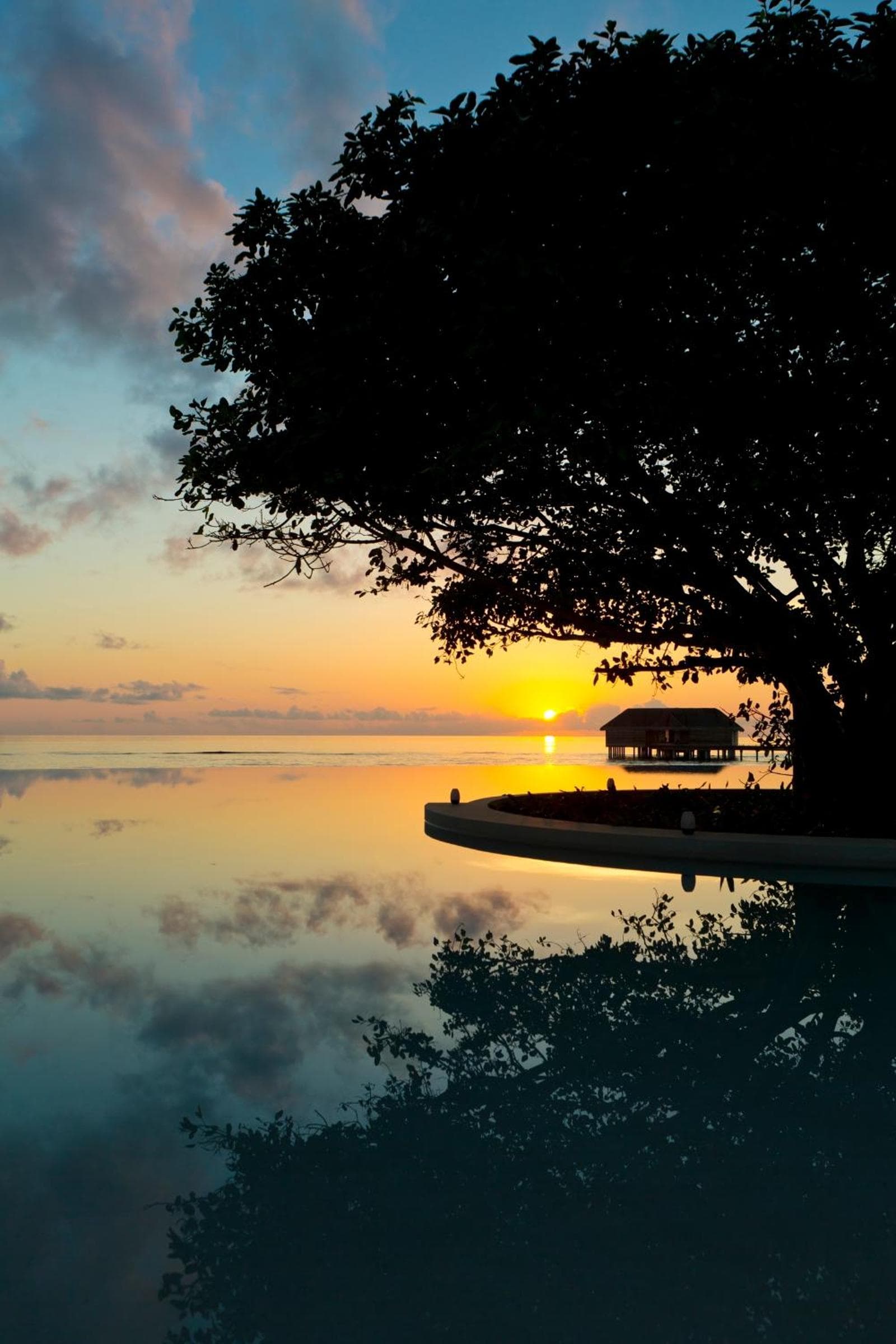 Dusit Thani Maldives - 50 percent off on Transfers for Stays of 5 Nights stay until 20 December 2026 - View 42