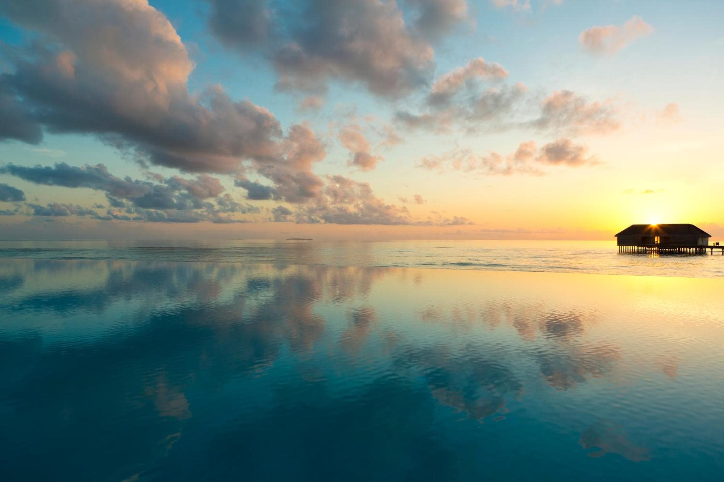 Dusit Thani Maldives - 50 percent off on Transfers for Stays of 5 Nights stay until 20 December 2026 - View 102