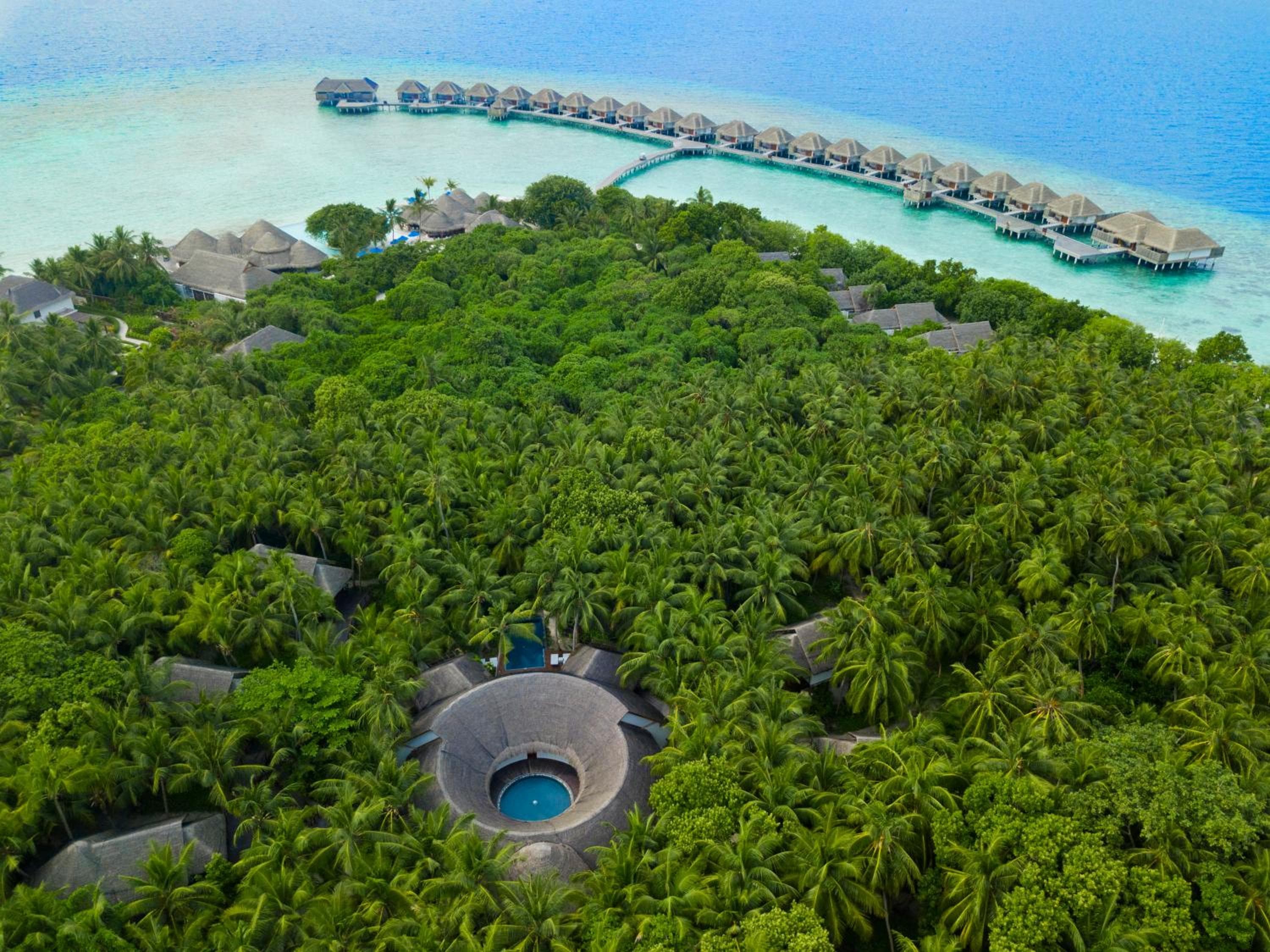 Dusit Thani Maldives - 50 percent off on Transfers for Stays of 5 Nights stay until 20 December 2026 - View 54