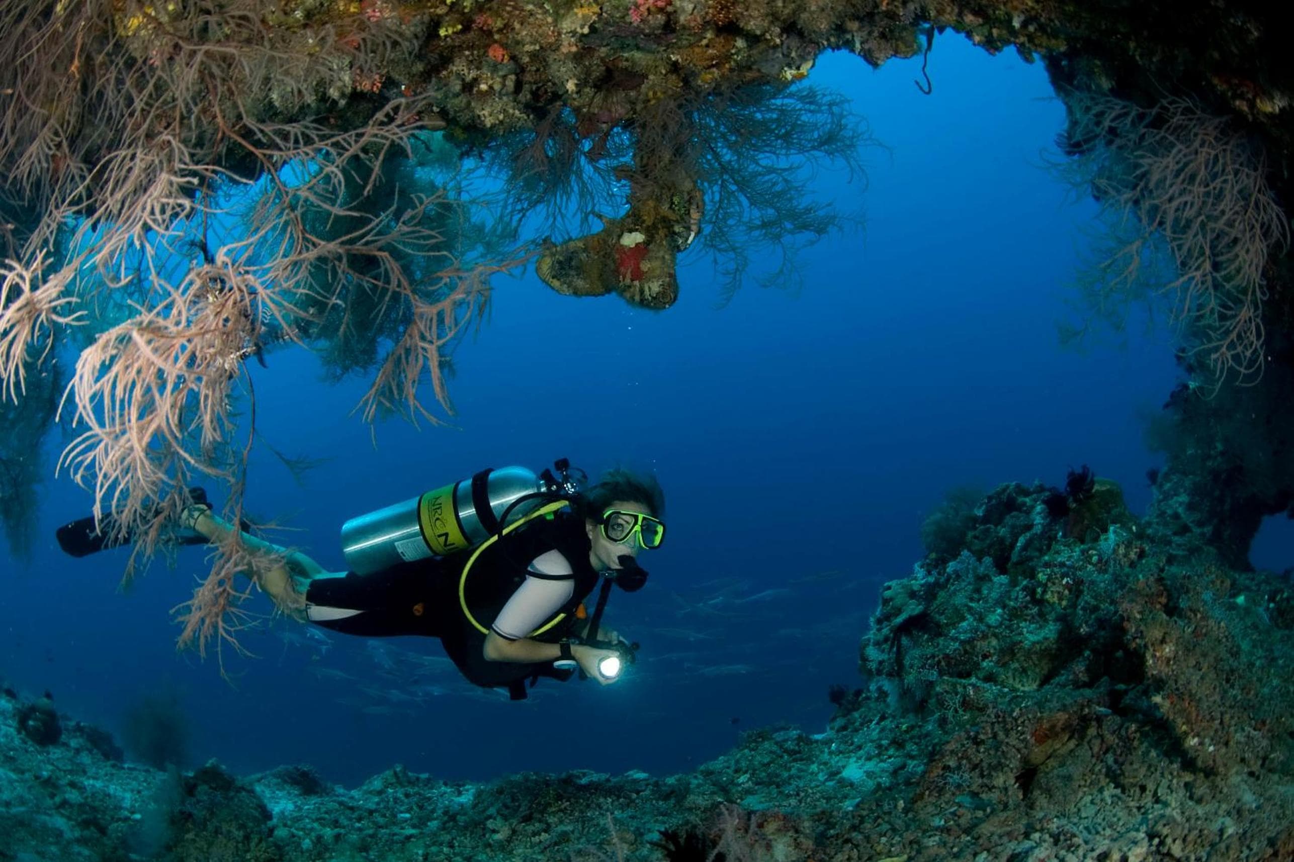 Dusit Thani Maldives - 50 percent off on Transfers for Stays of 5 Nights stay until 20 December 2026 - View 86