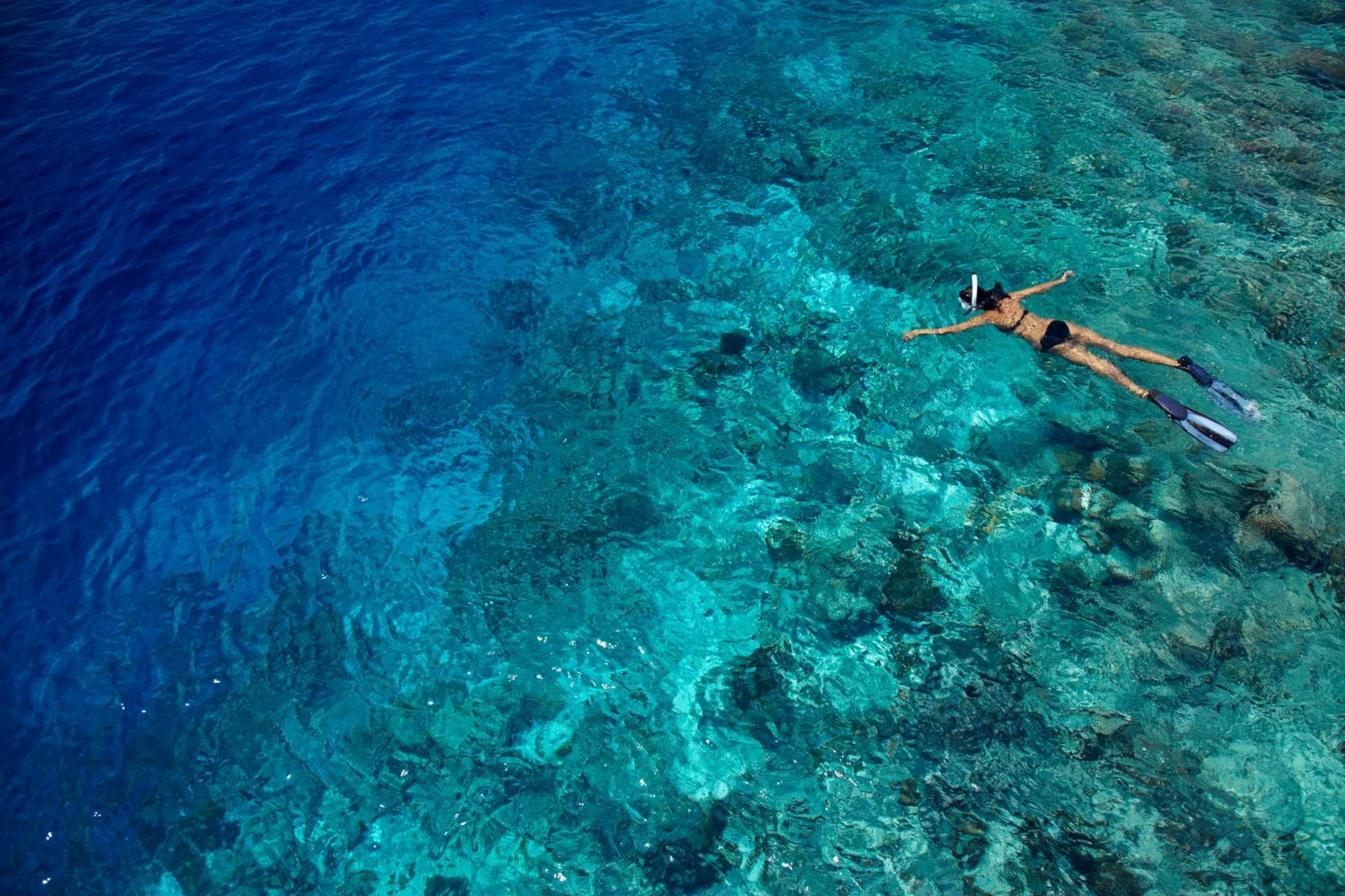 Dusit Thani Maldives - 50 percent off on Transfers for Stays of 5 Nights stay until 20 December 2026 - View 85