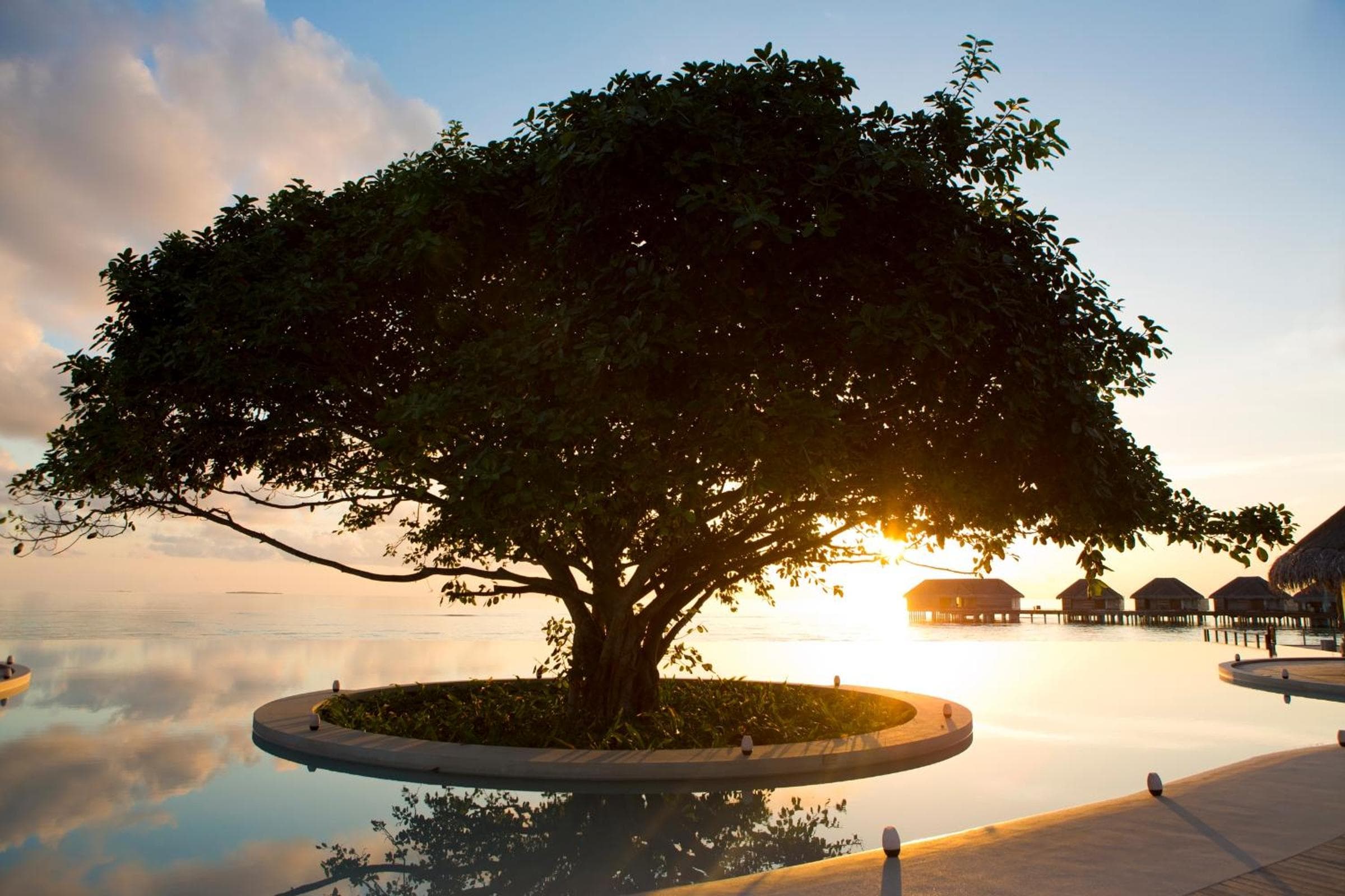 Dusit Thani Maldives - 50 percent off on Transfers for Stays of 5 Nights stay until 20 December 2026 - View 104