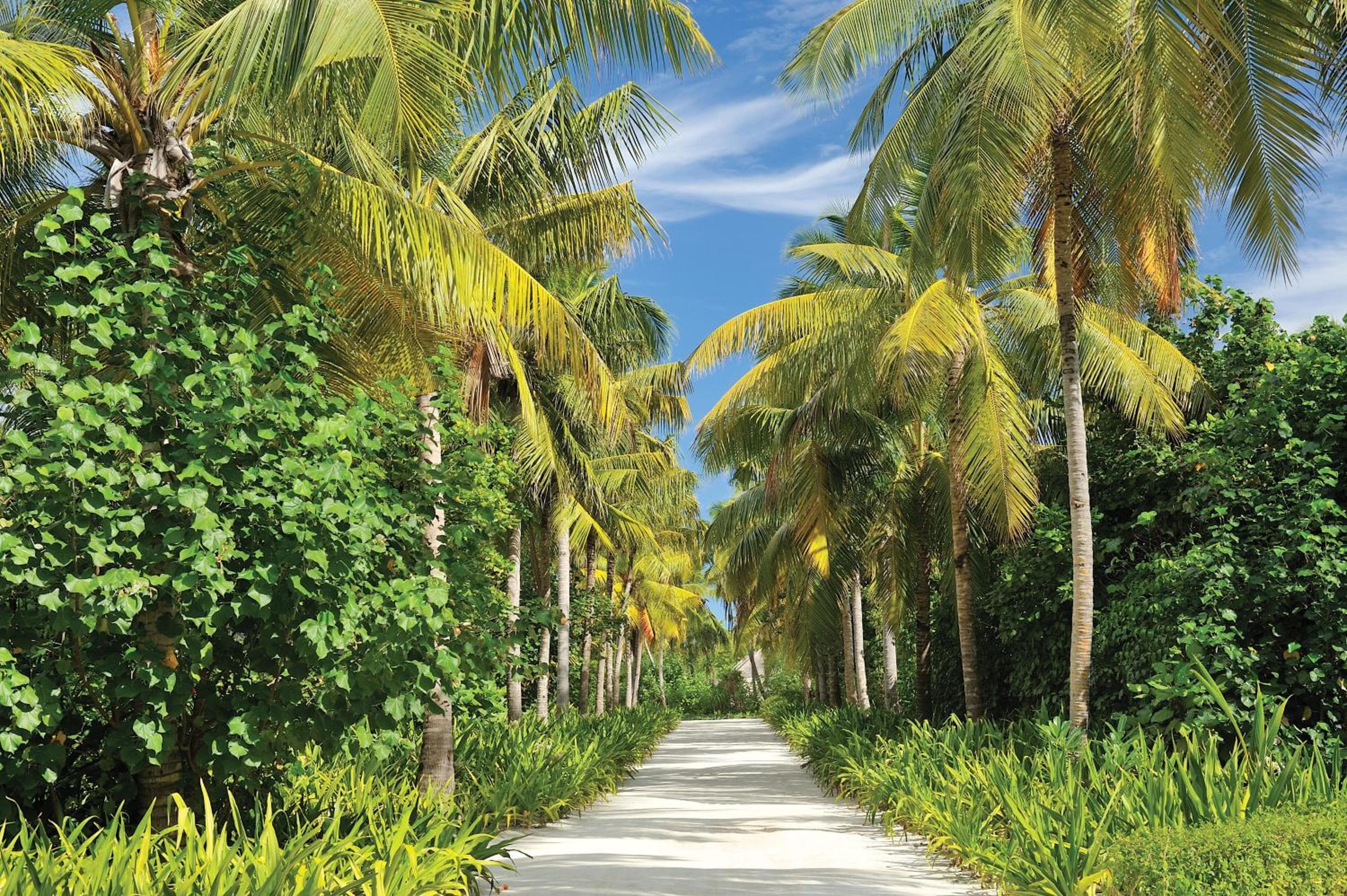 Ayada Maldives - Complimentary domestic transfer for 2 Adults for stays of 7 nights or more, valid for stay dates from May through the end of September 202 - View 4