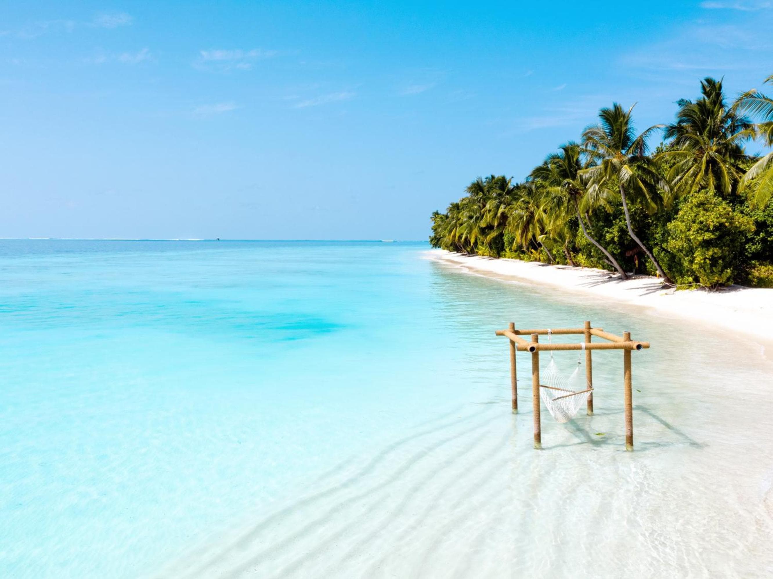 Ayada Maldives - Complimentary domestic transfer for 2 Adults for stays of 7 nights or more, valid for stay dates from May through the end of September 202 - View 2