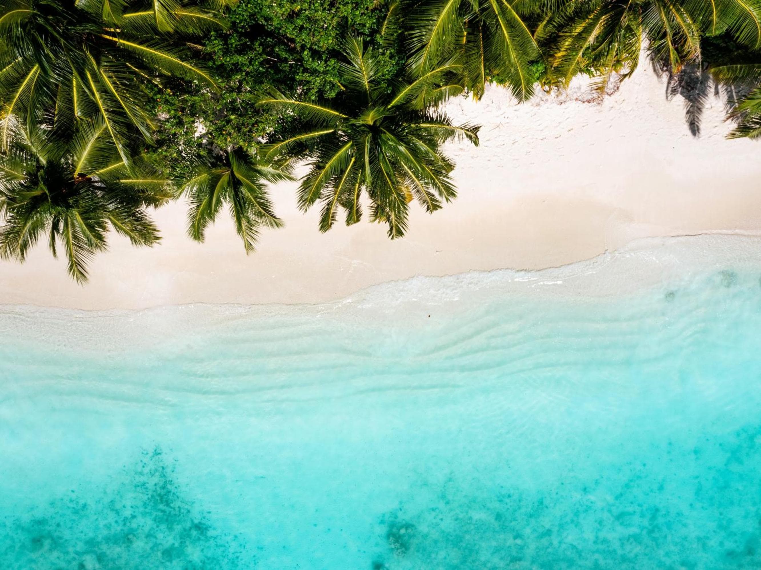 Ayada Maldives - Complimentary domestic transfer for 2 Adults for stays of 7 nights or more, valid for stay dates from May through the end of September 202 - View 17