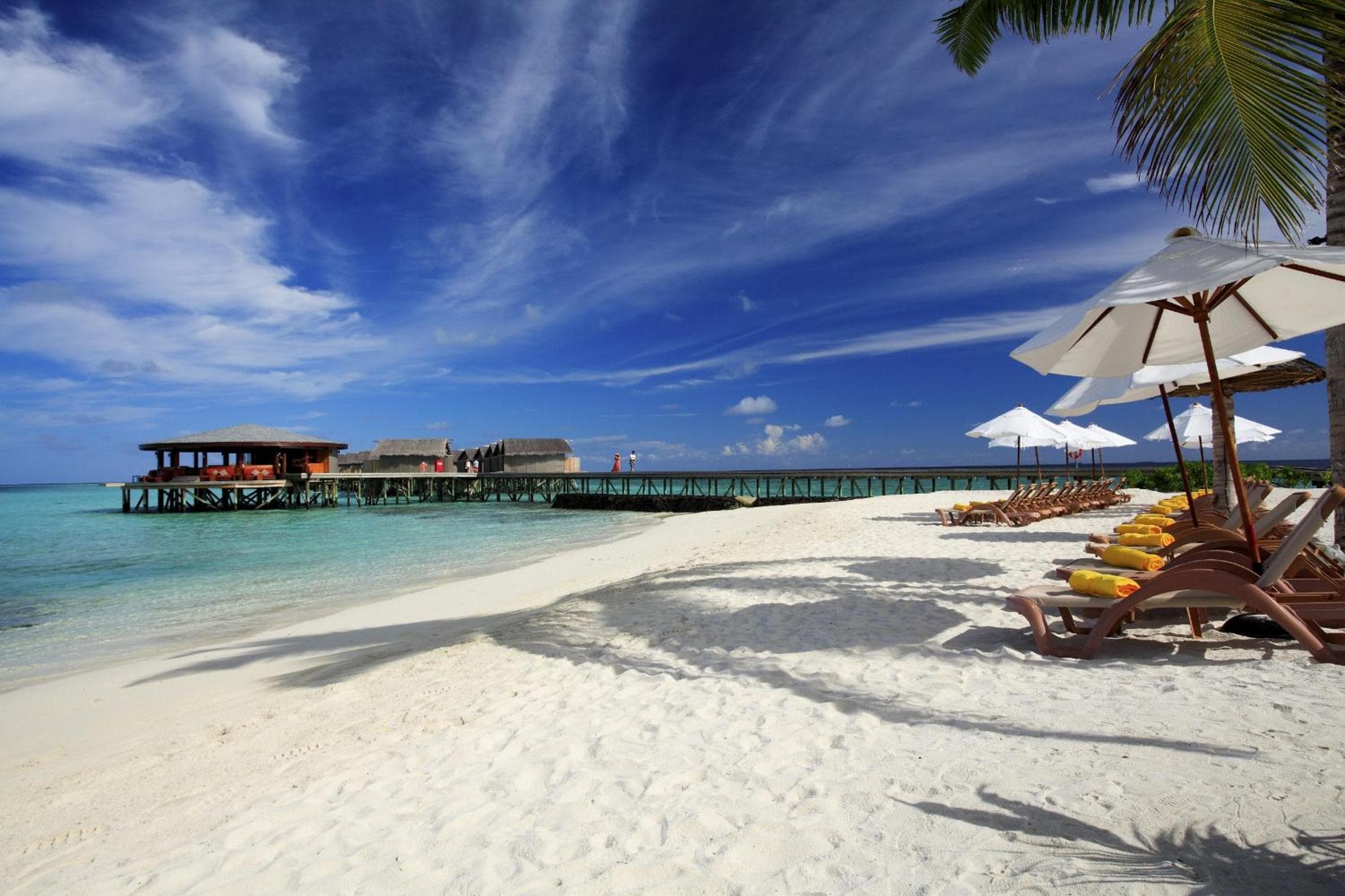 Centara Ras Fushi Resort & Spa Maldives - 50 percent discount on transfers for min 4 nights stay and more, valid for reservations between 11th Feb till 22 - View 42