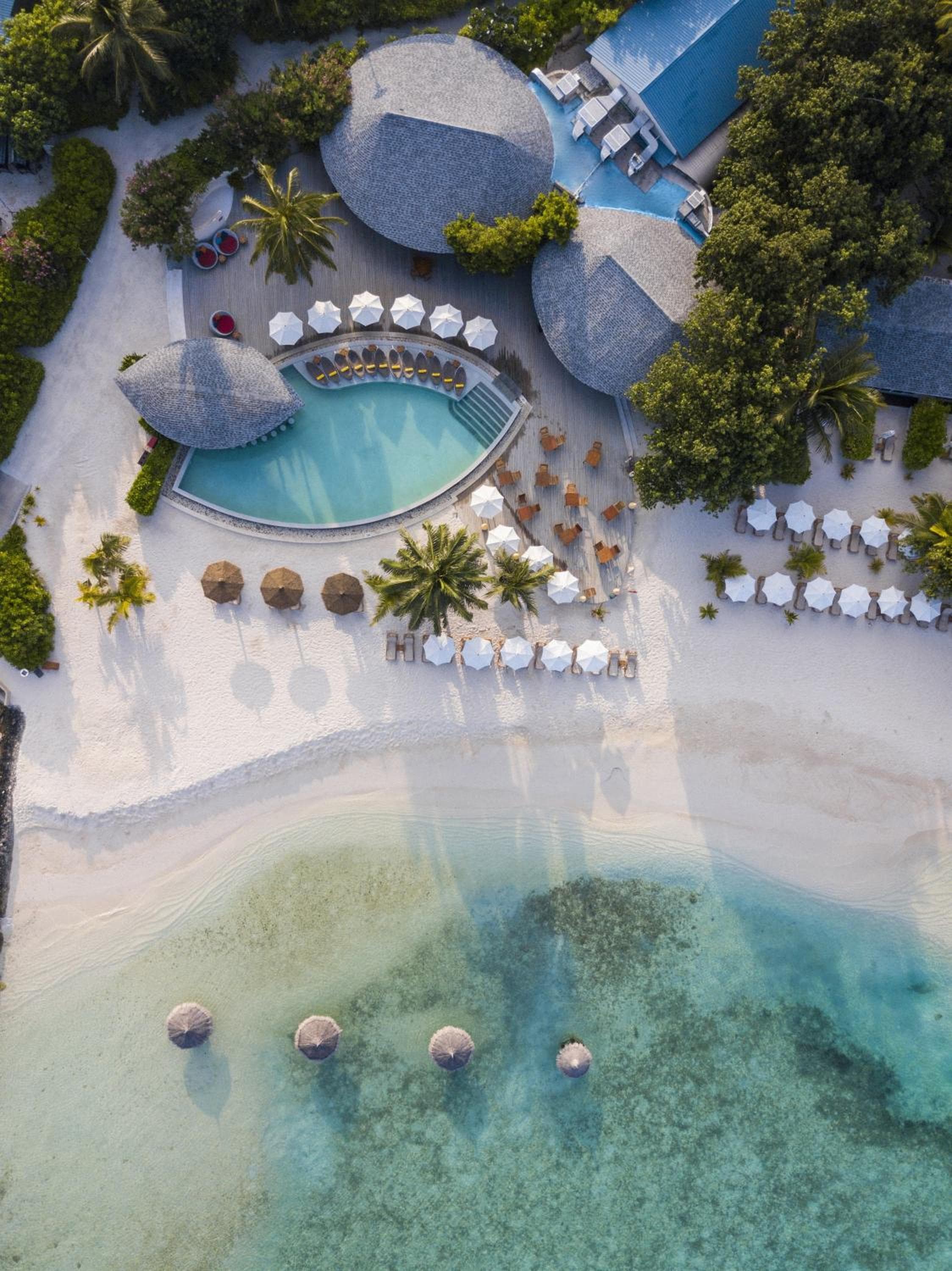 Centara Ras Fushi Resort & Spa Maldives - 50 percent discount on transfers for min 4 nights stay and more, valid for reservations between 11th Feb till 22 - View 71