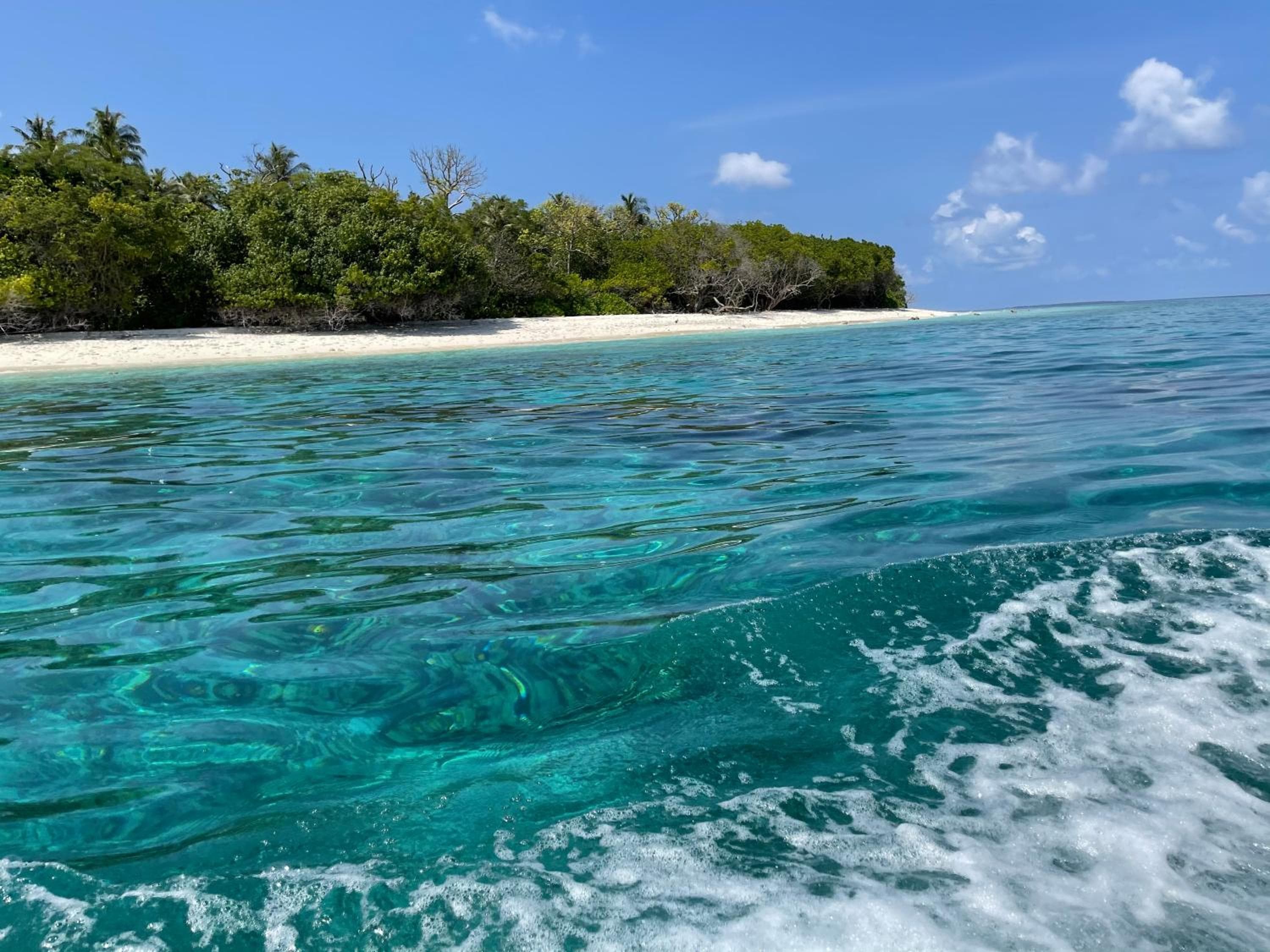 Viluveli Holiday Retreat - Special offer Available - Valid till January 15th 2026 - View 97