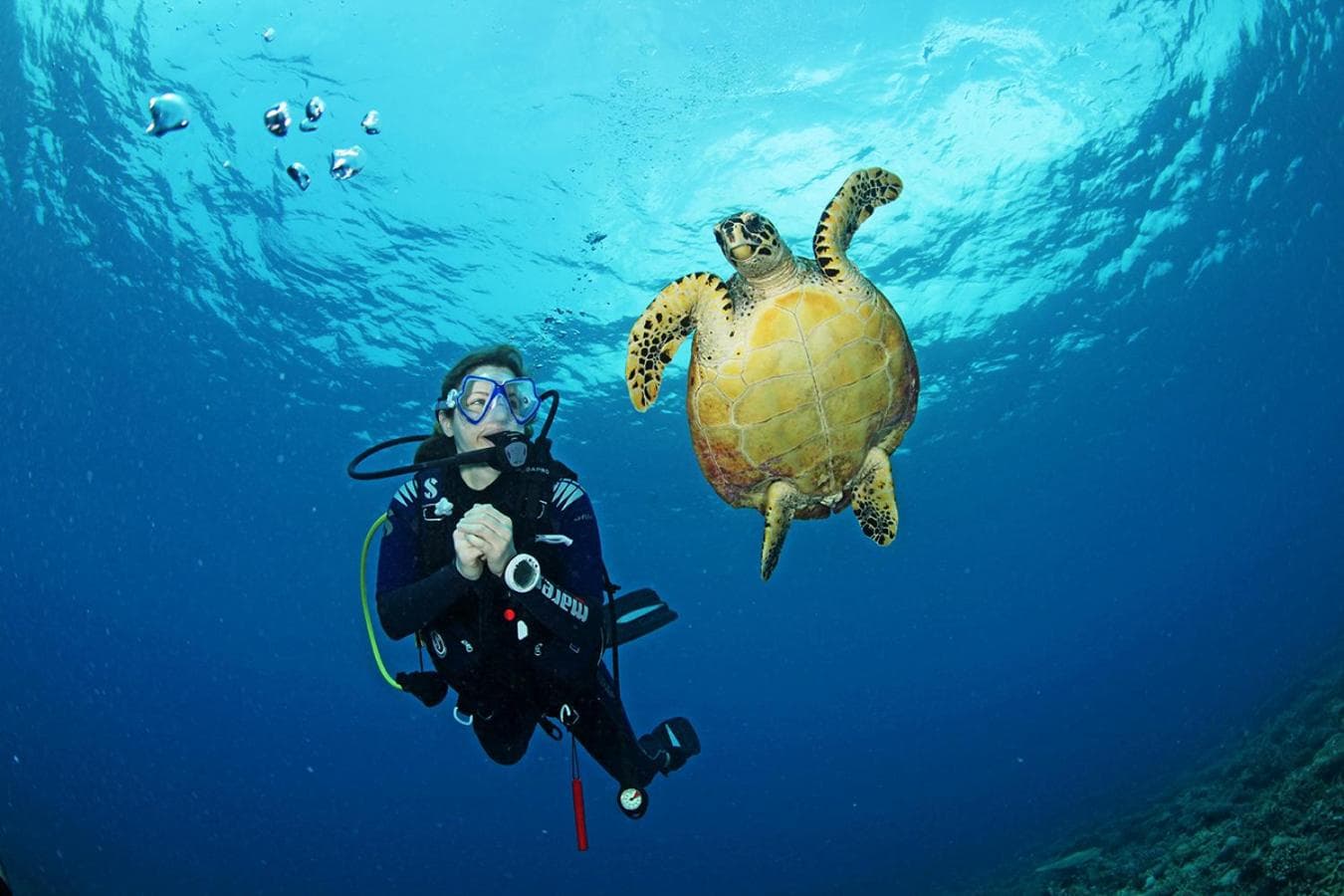 Radisson Blu Resort Maldives with 50 percent off on Sea Plane round trip 03 nights & above - View 100