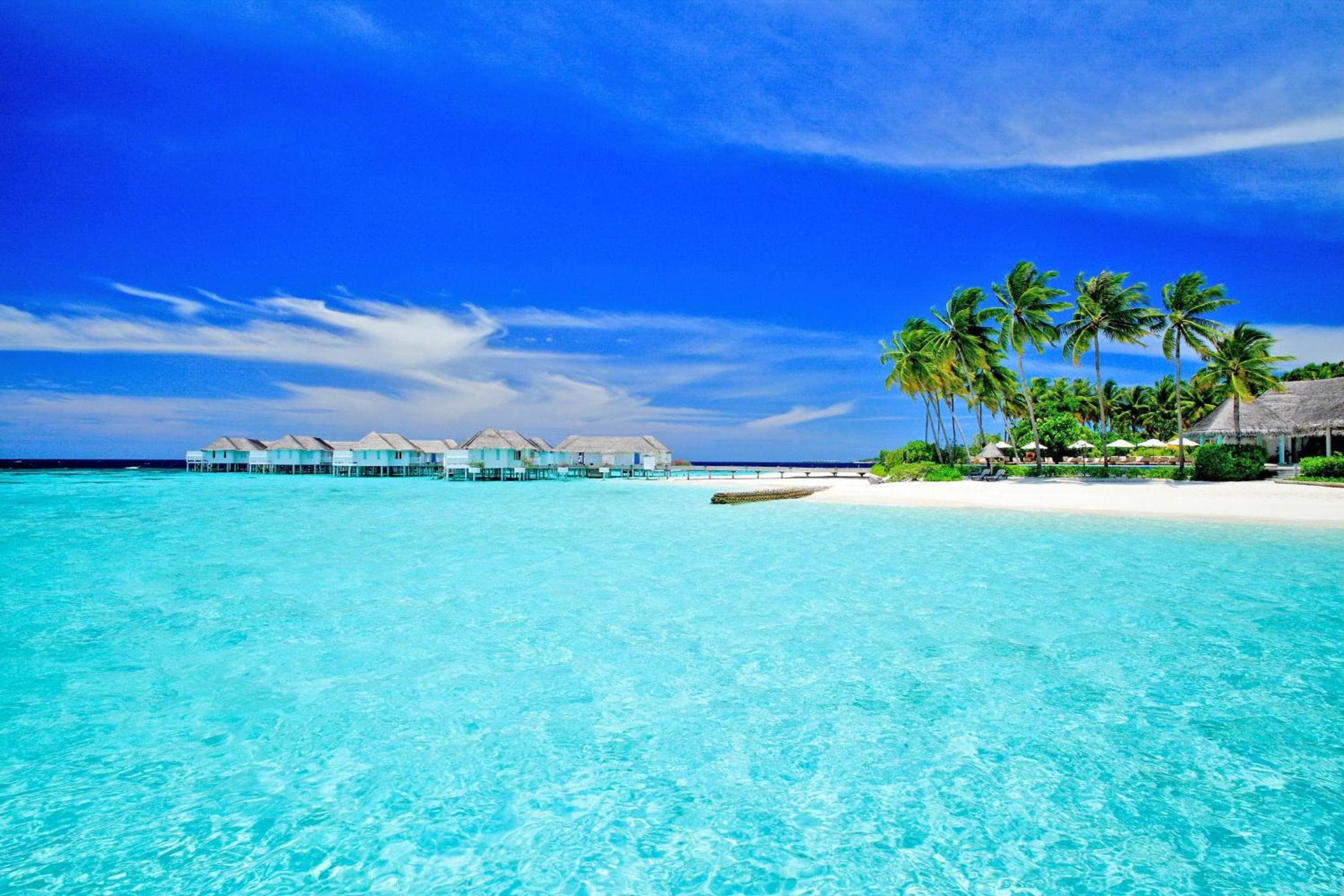 The Centara Collection, Machchafushi Island Resort & Spa Maldives - 30 percent discount on transfers for min 4 nights stay and more, valid for reservations - View 69