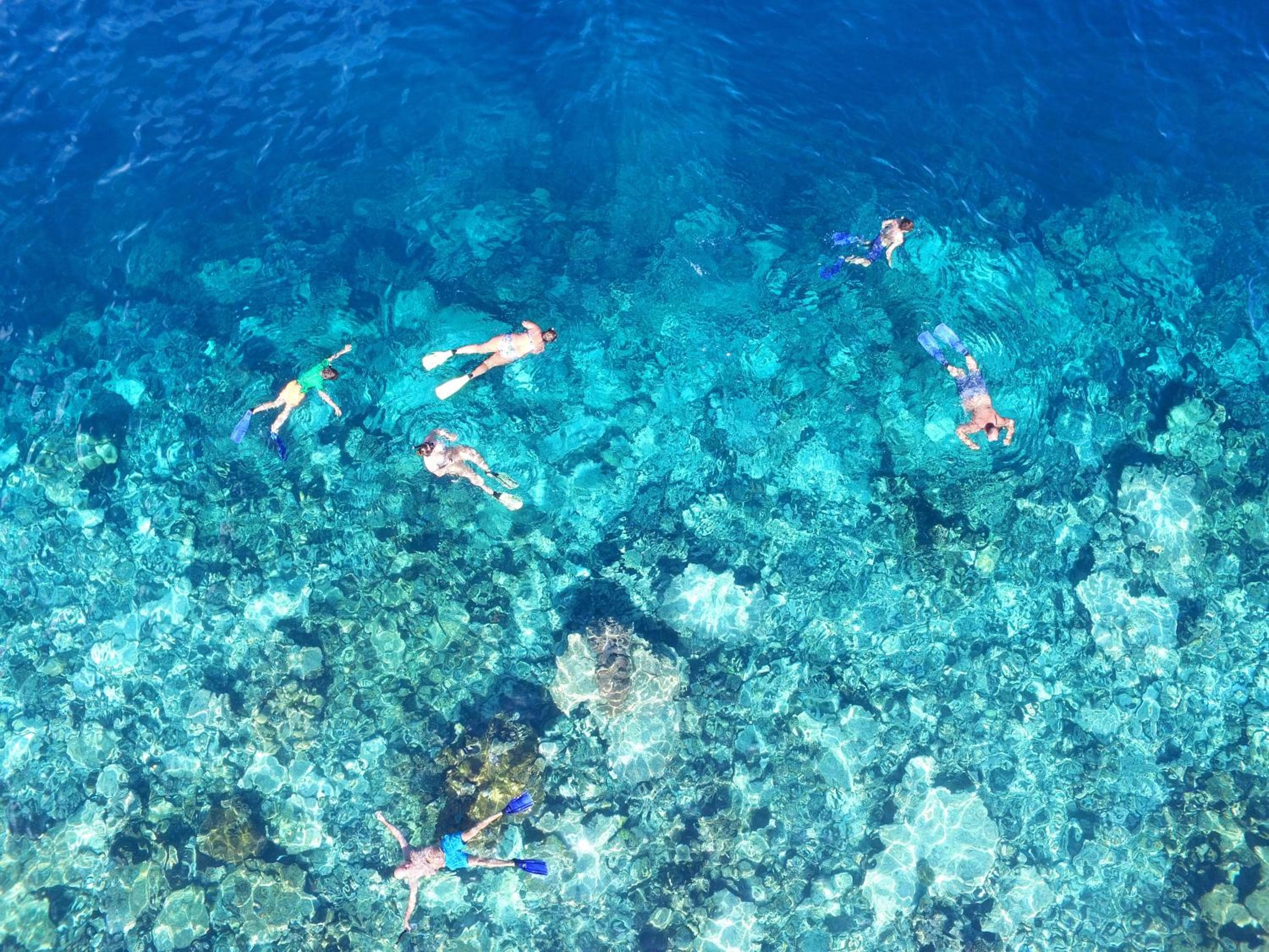 The Centara Collection, Machchafushi Island Resort & Spa Maldives - 30 percent discount on transfers for min 4 nights stay and more, valid for reservations - View 73