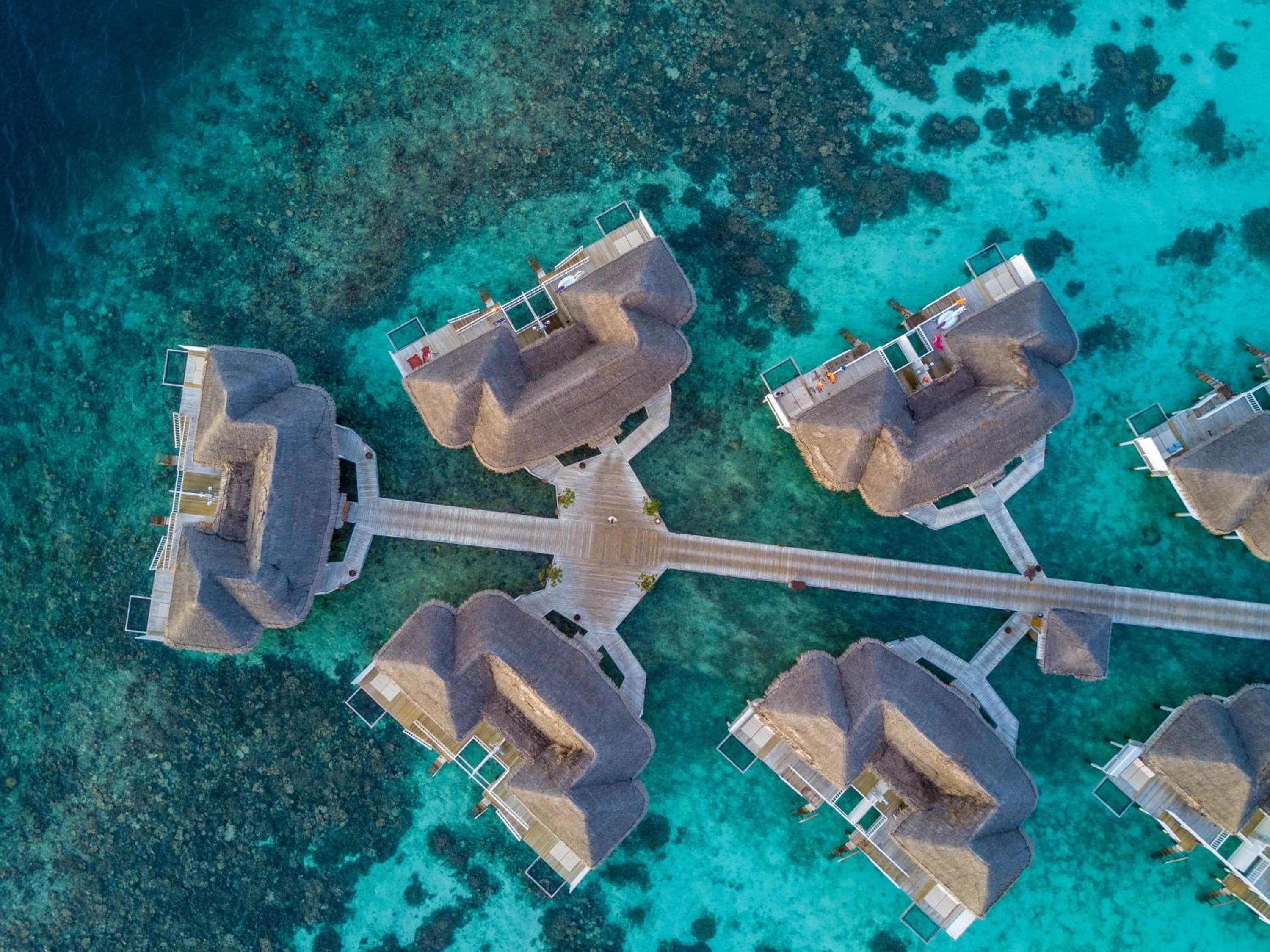 The Centara Collection, Machchafushi Island Resort & Spa Maldives - 30 percent discount on transfers for min 4 nights stay and more, valid for reservations - View 15