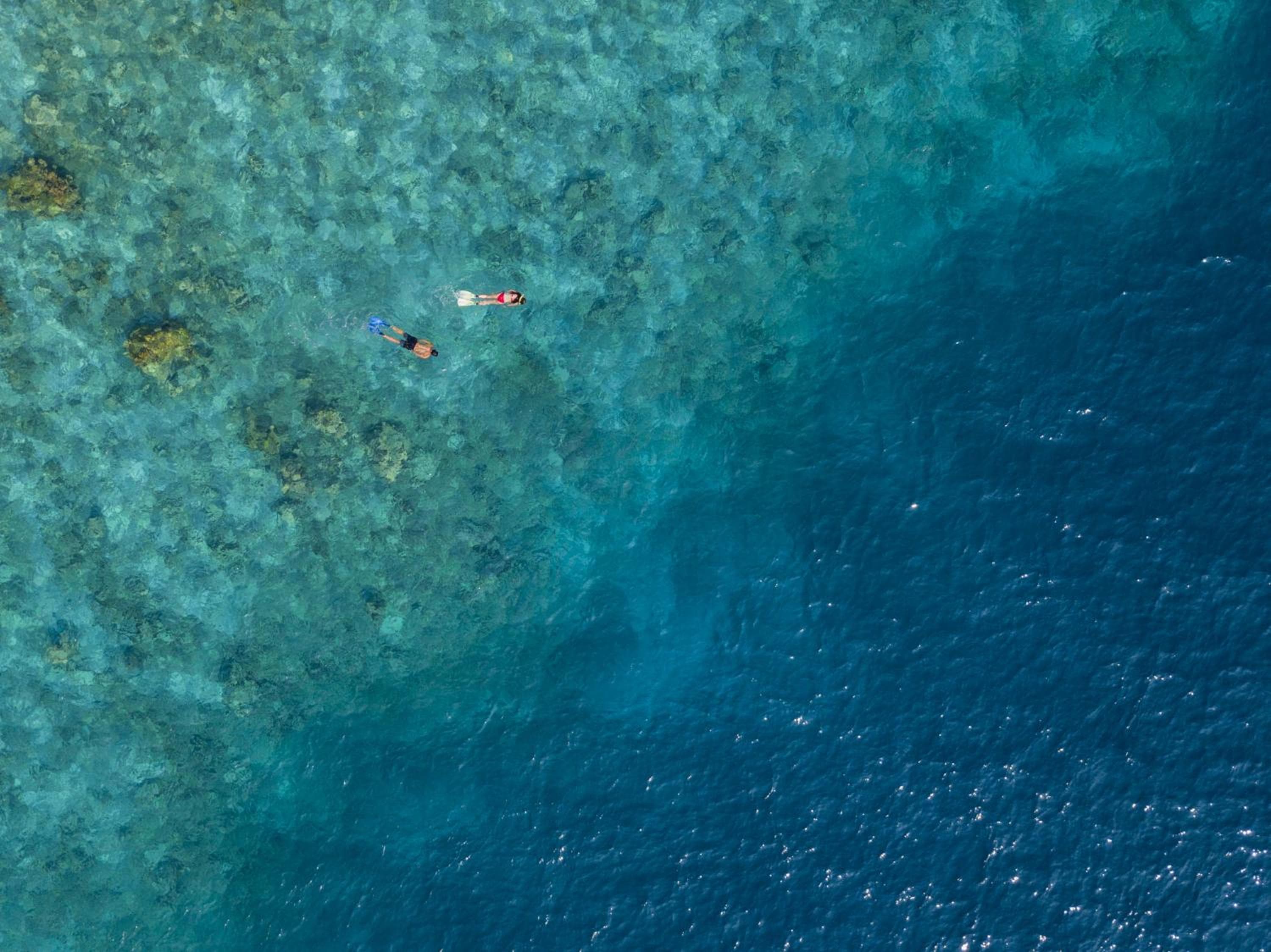 The Centara Collection, Machchafushi Island Resort & Spa Maldives - 30 percent discount on transfers for min 4 nights stay and more, valid for reservations - View 163