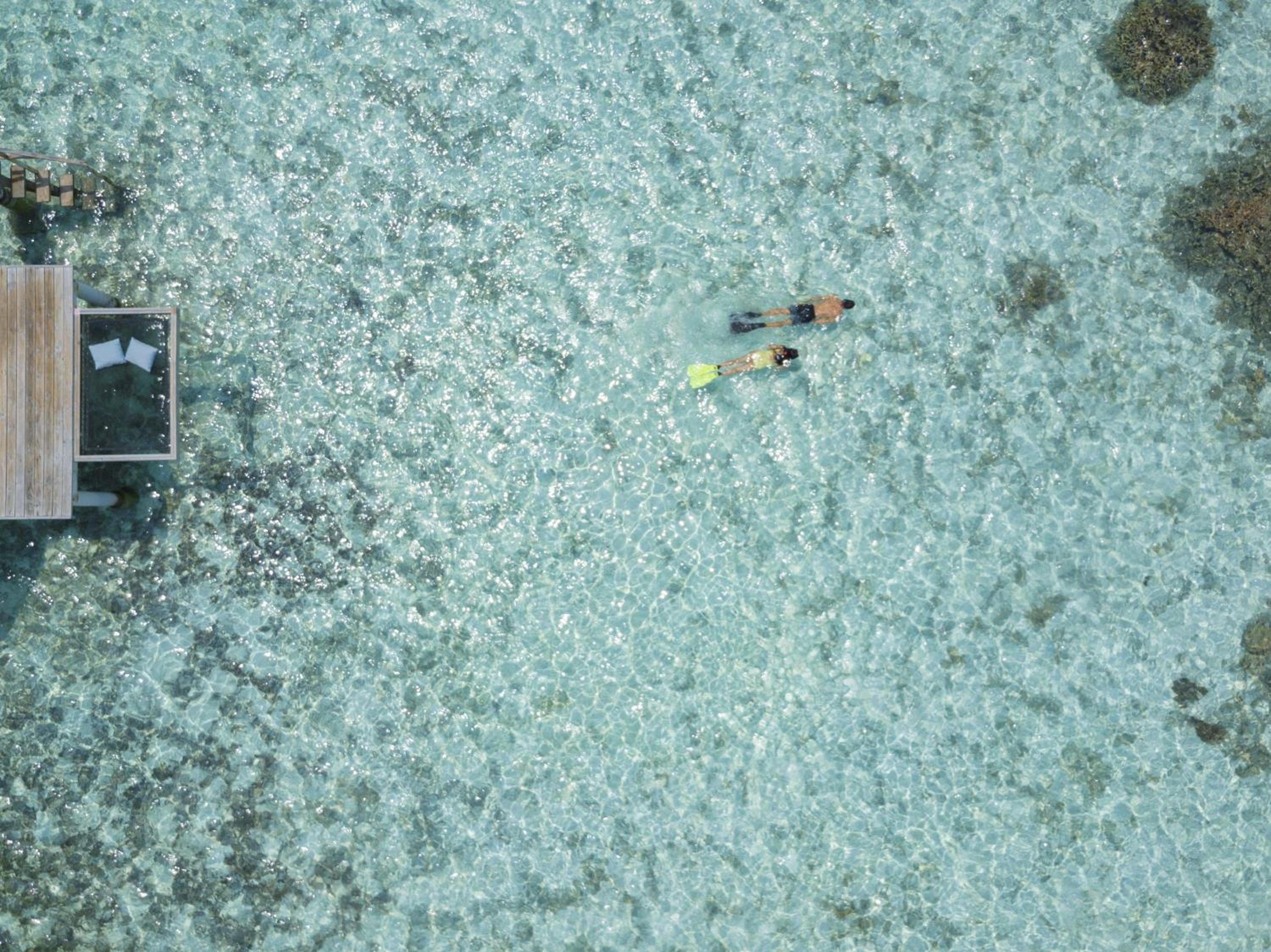 The Centara Collection, Machchafushi Island Resort & Spa Maldives - 30 percent discount on transfers for min 4 nights stay and more, valid for reservations - View 162