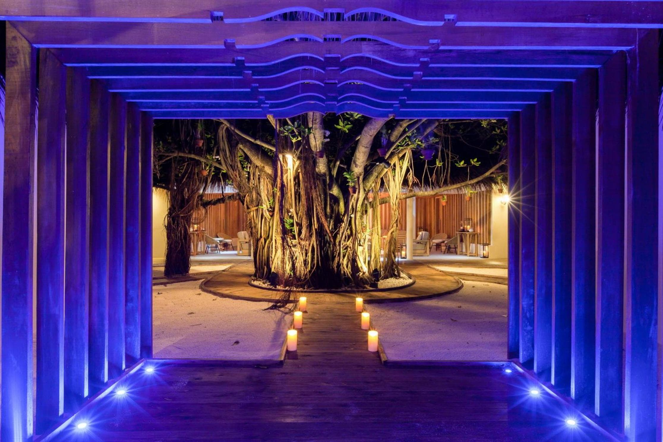 The Centara Collection, Machchafushi Island Resort & Spa Maldives - 30 percent discount on transfers for min 4 nights stay and more, valid for reservations - View 203