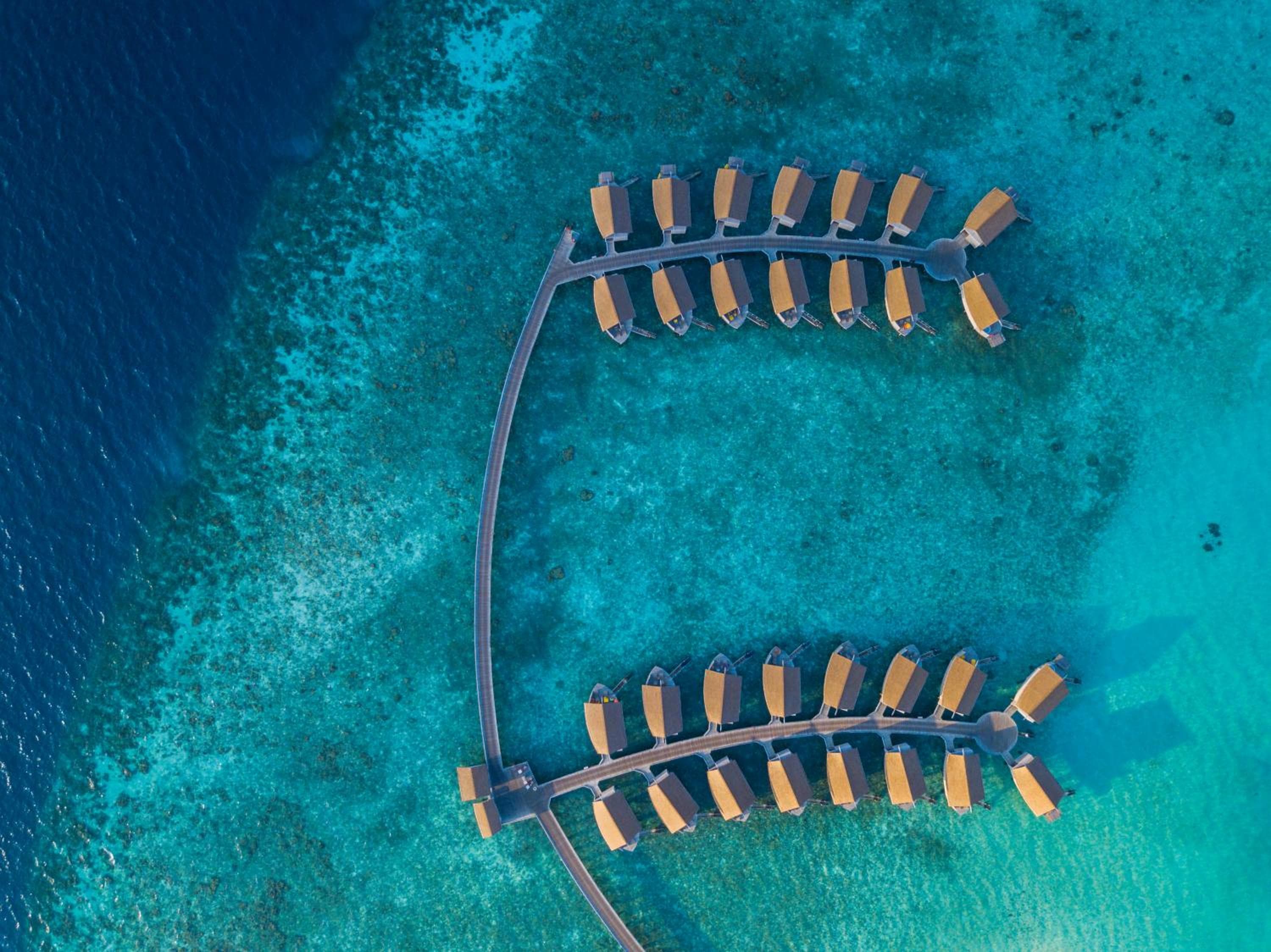Centara Ras Fushi Resort & Spa Maldives - 50 percent discount on transfers for min 4 nights stay and more, valid for reservations between 11th Feb till 22 - View 95