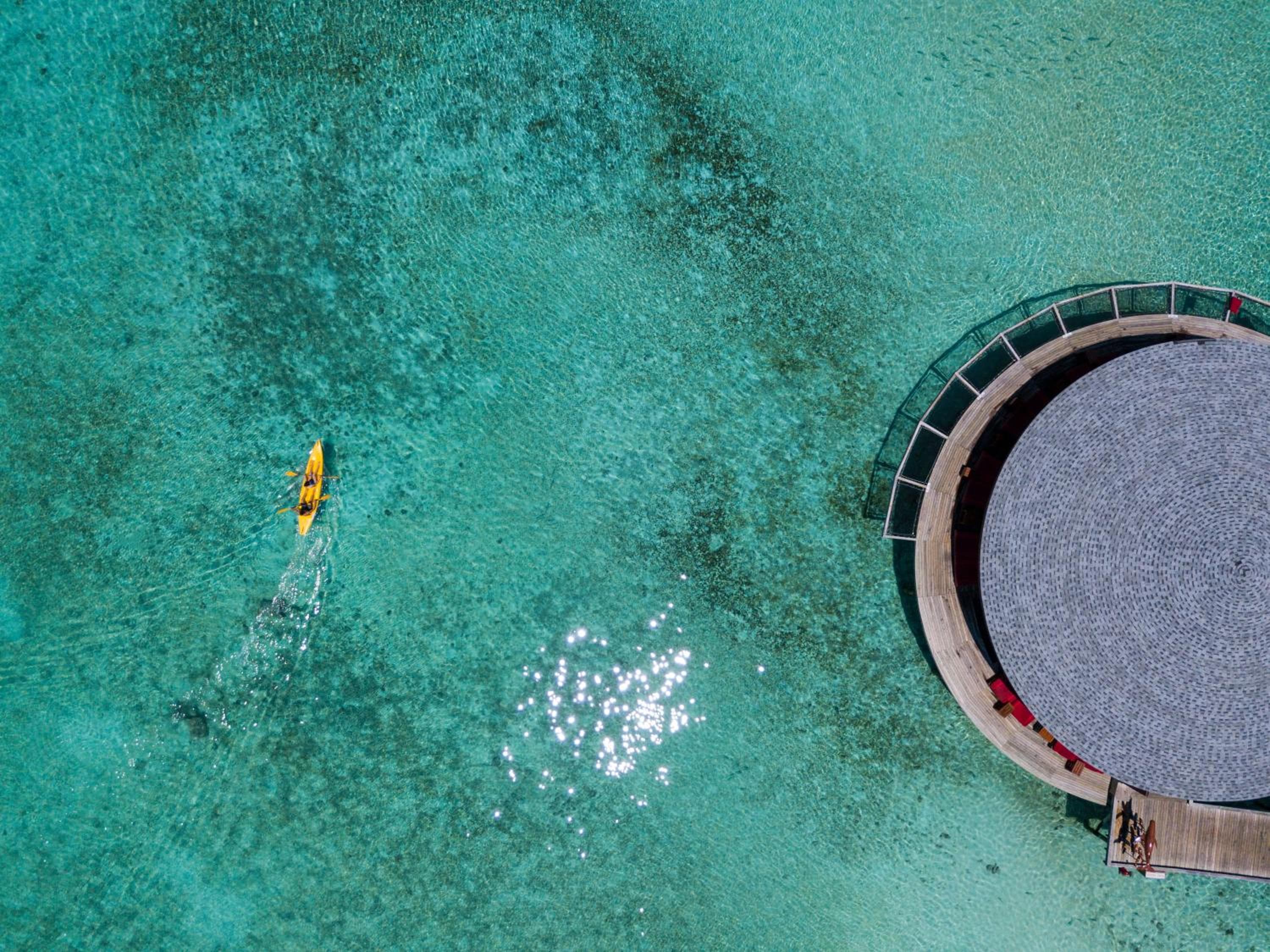 Centara Ras Fushi Resort & Spa Maldives - 50 percent discount on transfers for min 4 nights stay and more, valid for reservations between 11th Feb till 22 - View 97