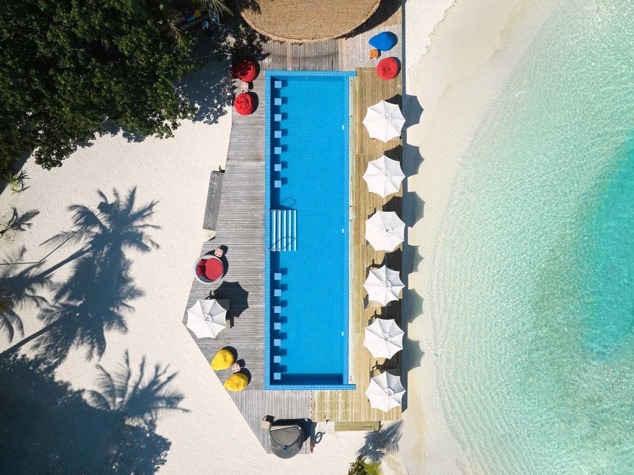 Centara Ras Fushi Resort & Spa Maldives - 50 percent discount on transfers for min 4 nights stay and more, valid for reservations between 11th Feb till 22 - View 55