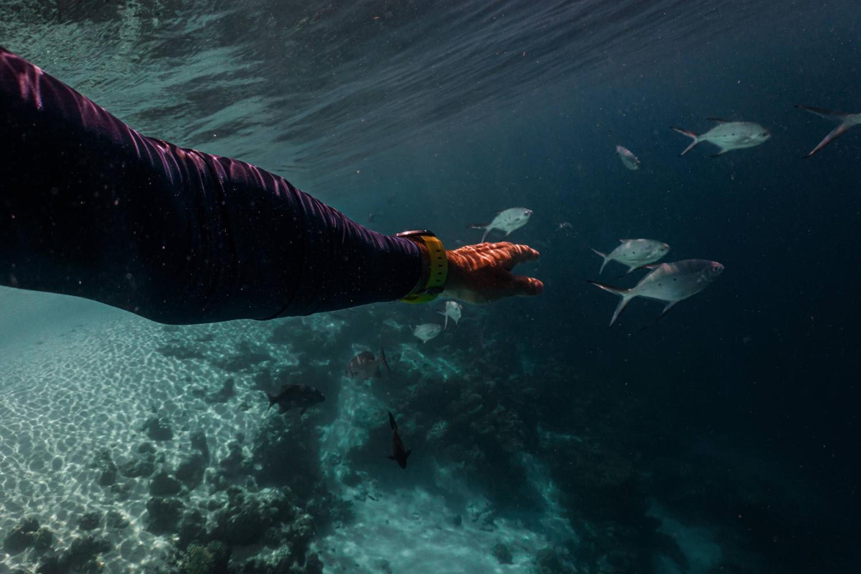Sun Siyam Iru Veli - 24 Hours Premium All-Inclusive Dine Around with Free Transfers - View 60