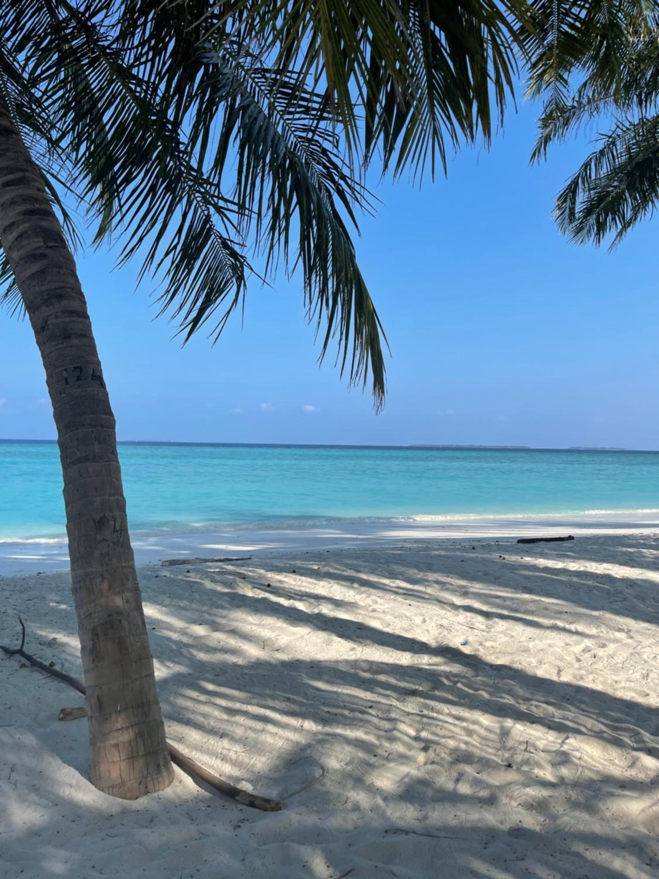 Viluveli Holiday Retreat - Special offer Available - Valid till January 15th 2026 - View 96