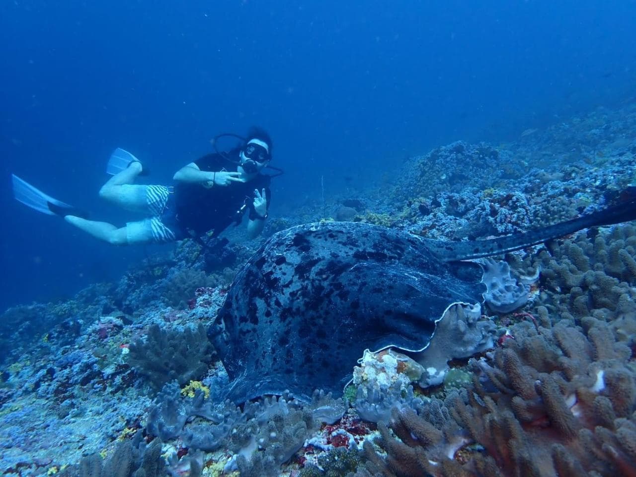 Viluveli Holiday Retreat - Special offer Available - Valid till January 15th 2026 - View 12