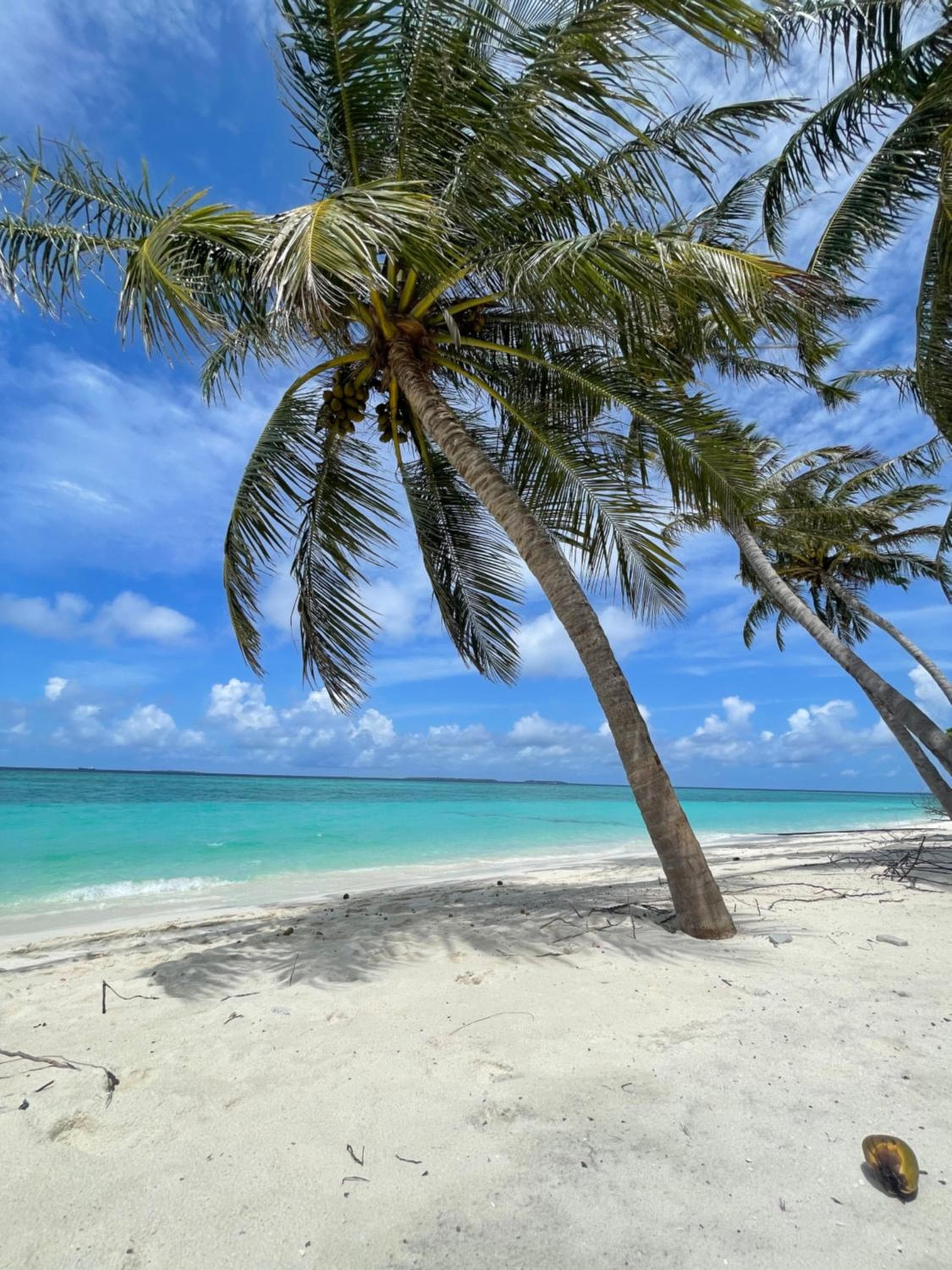 Viluveli Holiday Retreat - Special offer Available - Valid till January 15th 2026 - View 21