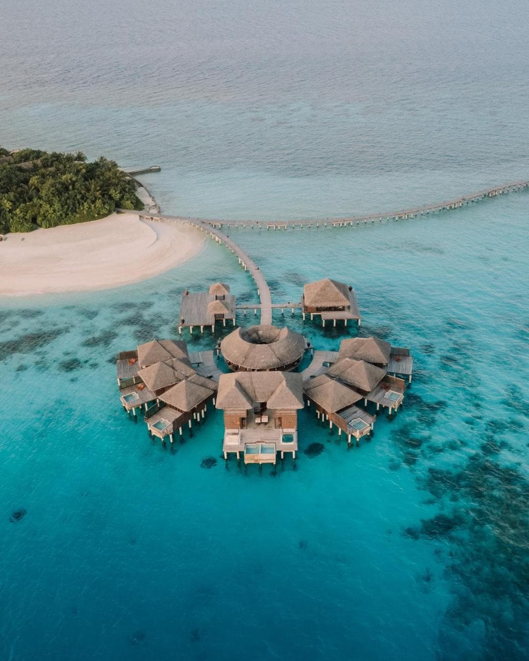 Coco Bodu Hithi - 50 percent off shared roundtrip Speedboat for stays from 1 Sep to 23 Dec 2025 - View 78