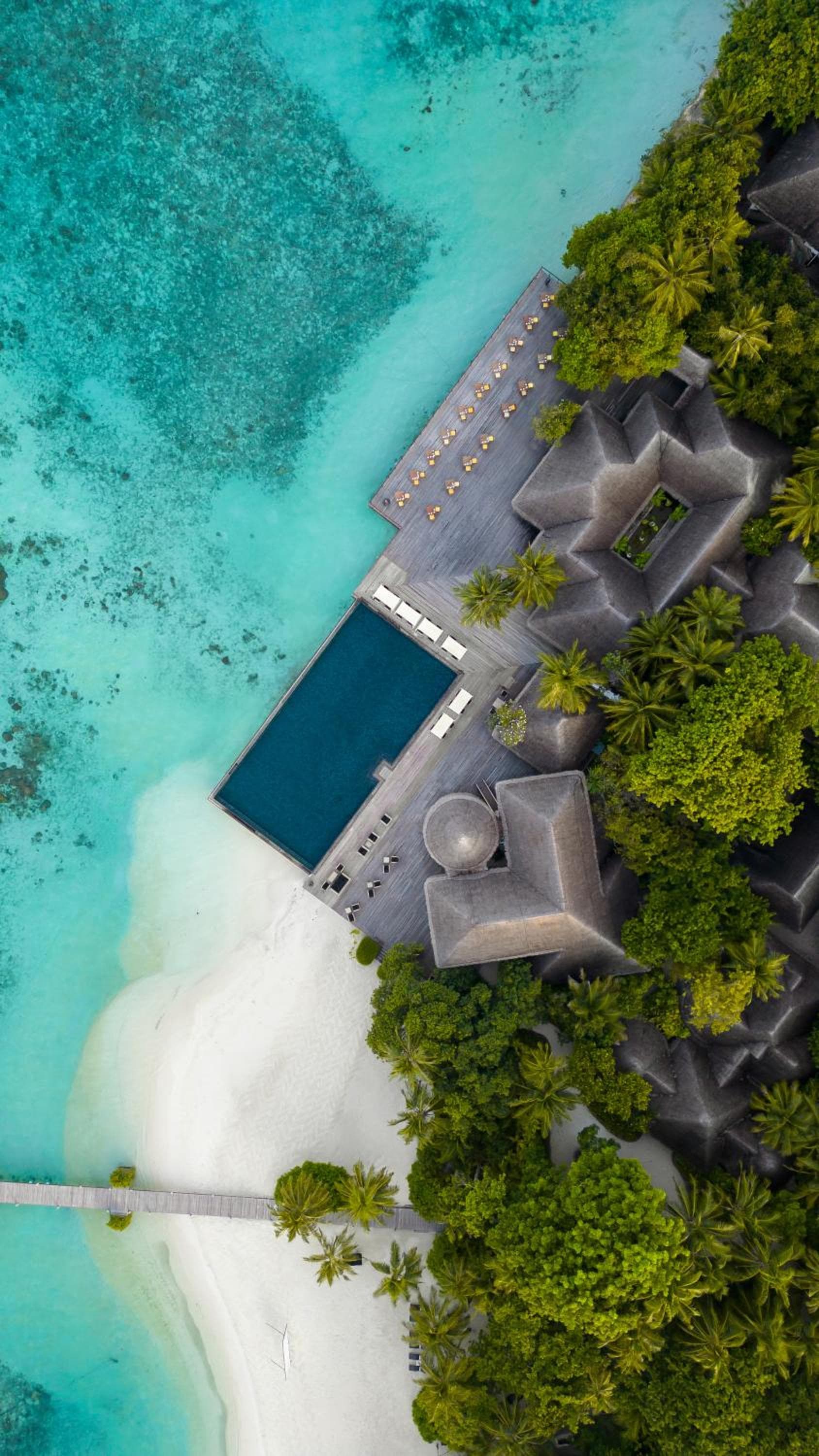 Coco Bodu Hithi - 50 percent off shared roundtrip Speedboat for stays from 1 Sep to 23 Dec 2025 - View 17