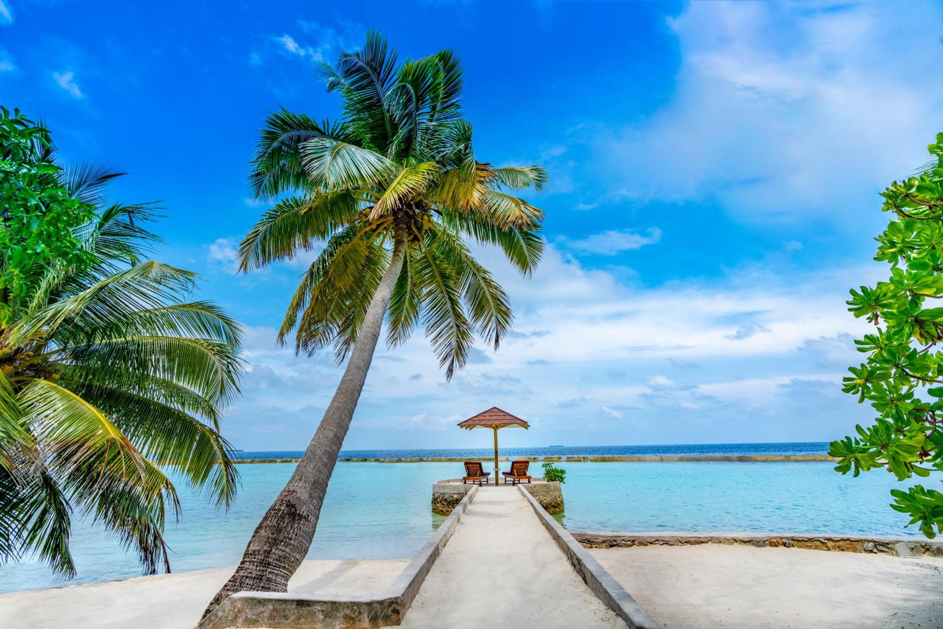 Ellaidhoo Maldives by Cinnamon - 50 Percent Off on Speedboat for 02 Pax and up to 02 Kids stay FREE - View 28