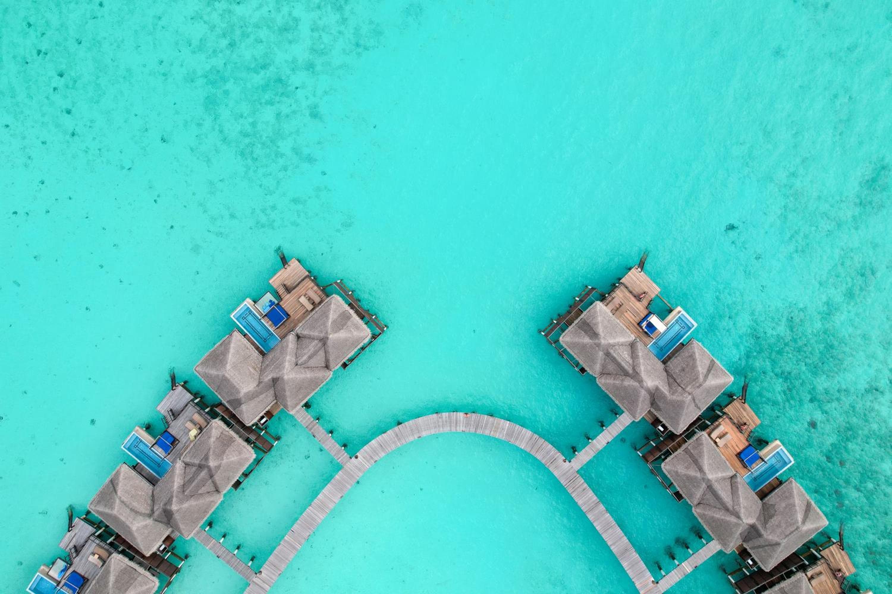 Coco Bodu Hithi - 50 percent off shared roundtrip Speedboat for stays from 1 Sep to 23 Dec 2025 - View 15