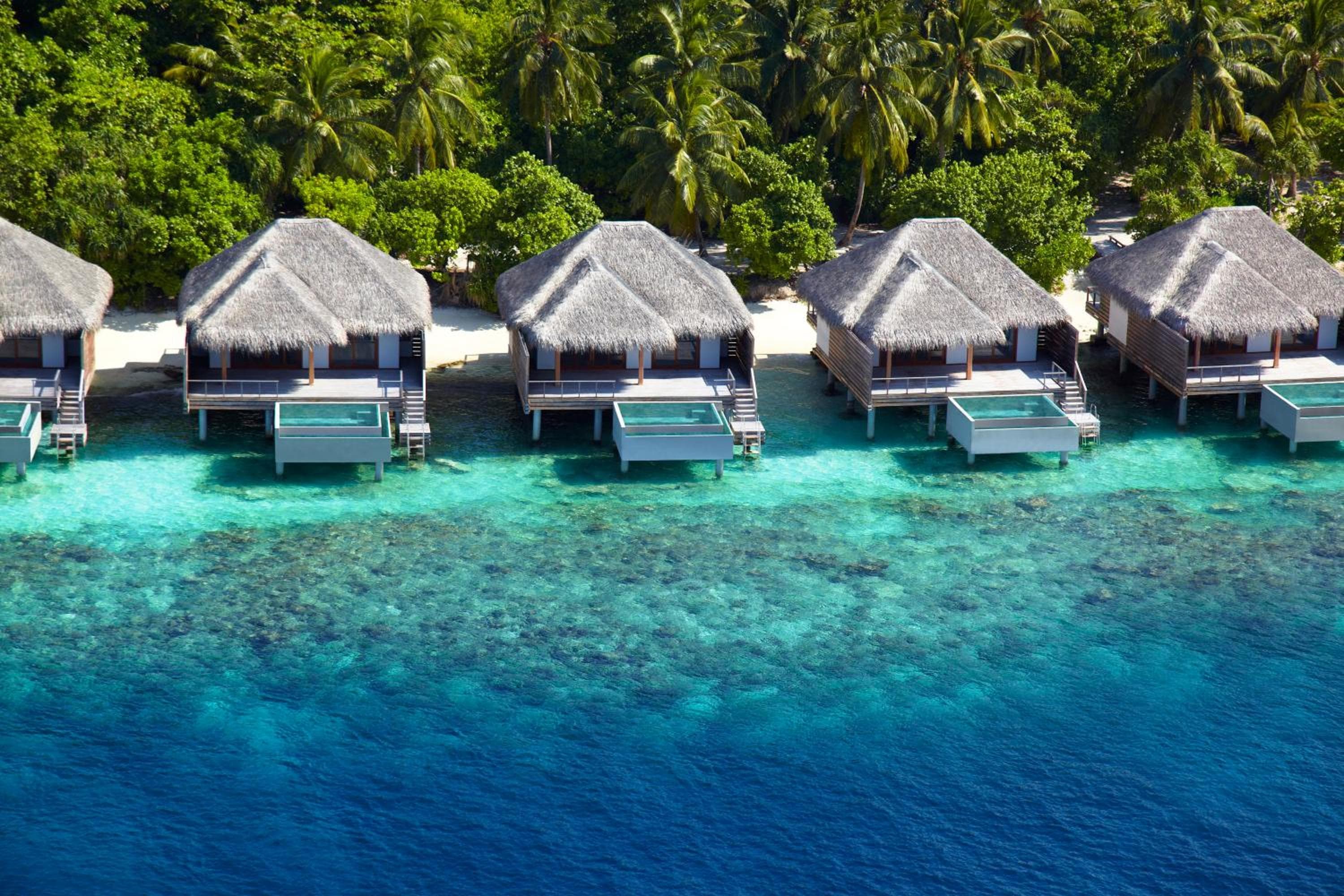 Dusit Thani Maldives - 50 percent off on Transfers for Stays of 5 Nights stay until 20 December 2026 - View 39