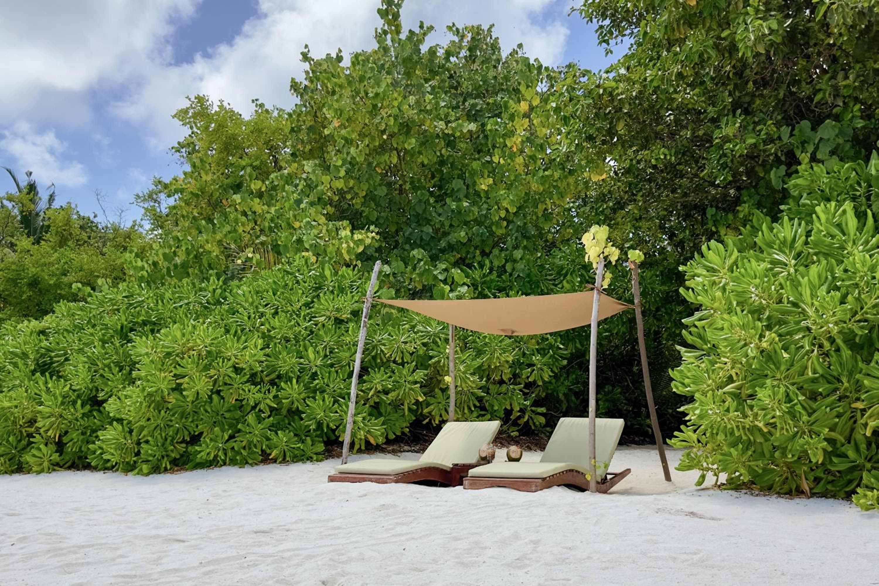 Coco Bodu Hithi - 50 percent off shared roundtrip Speedboat for stays from 1 Sep to 23 Dec 2025 - View 5