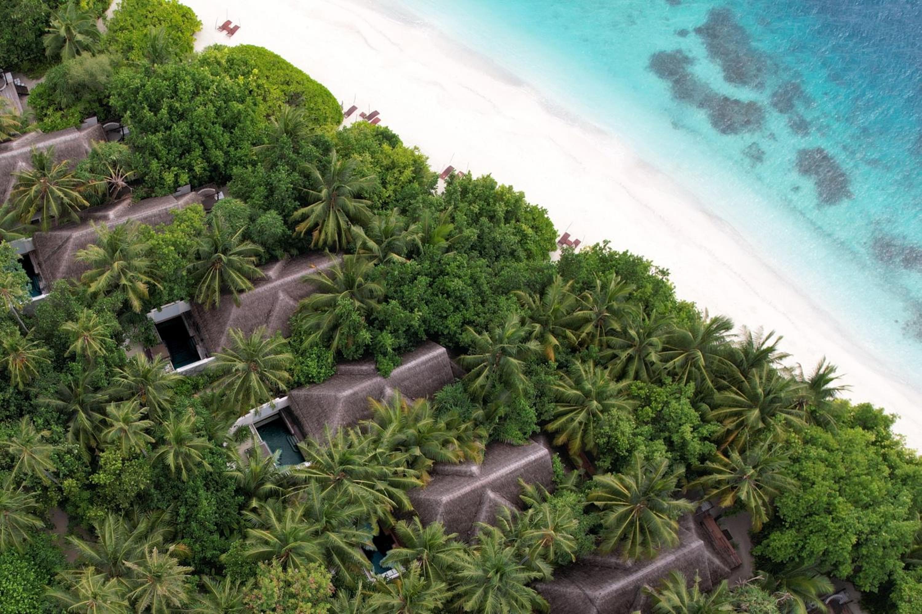 Coco Bodu Hithi - 50 percent off shared roundtrip Speedboat for stays from 1 Sep to 23 Dec 2025 - View 7