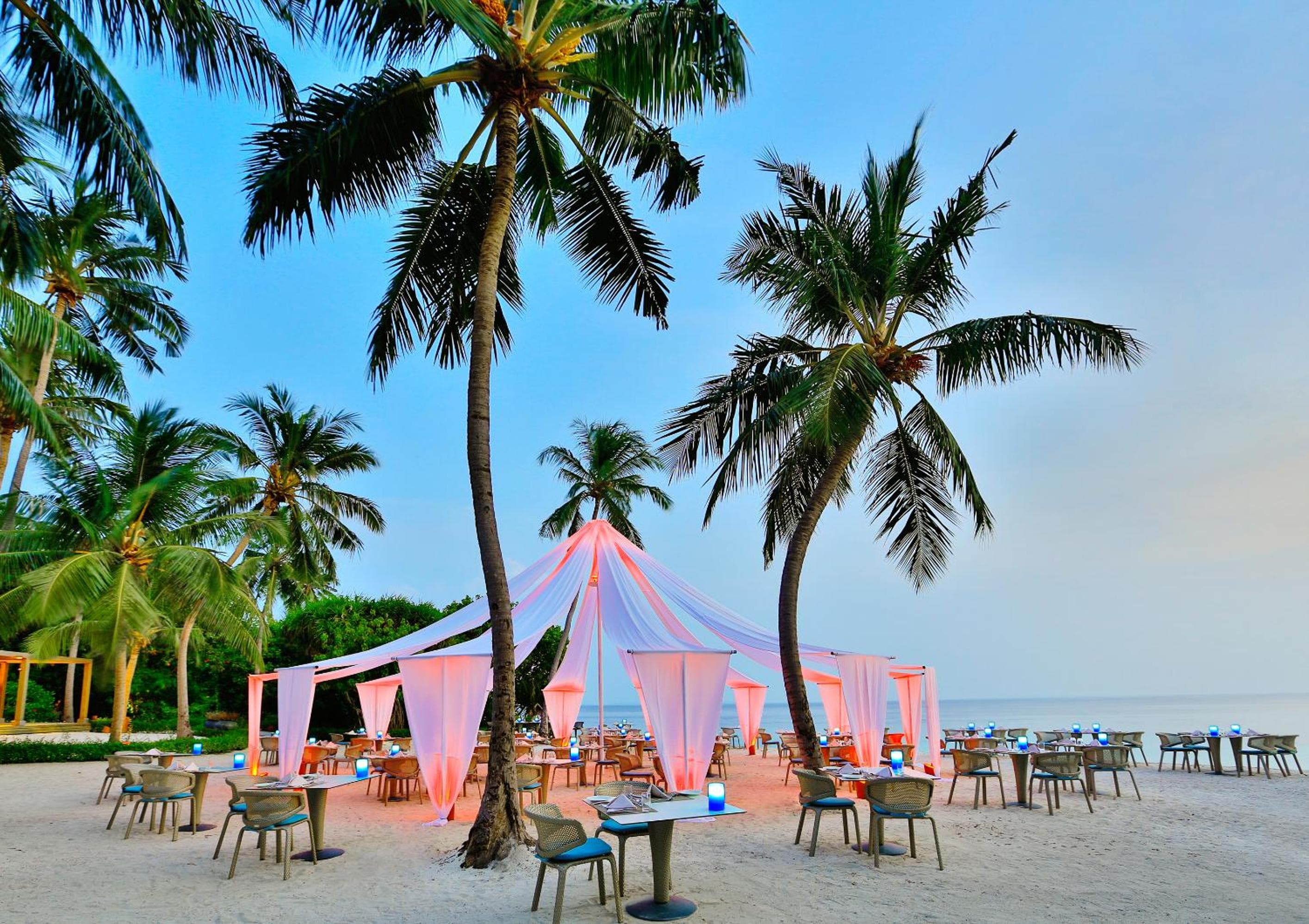 Dusit Thani Maldives - 50 percent off on Transfers for Stays of 5 Nights stay until 20 December 2026 - View 67