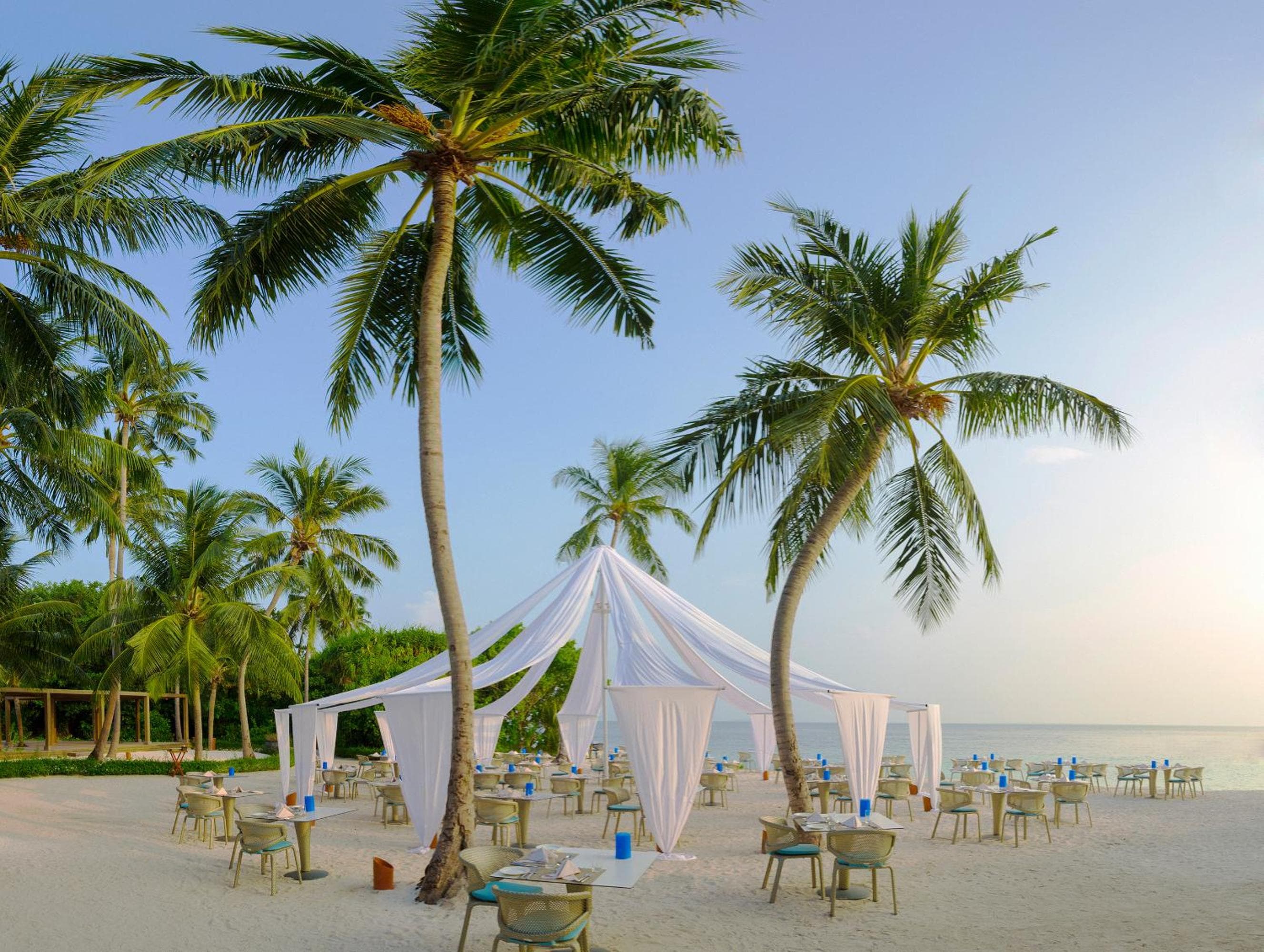 Dusit Thani Maldives - 50 percent off on Transfers for Stays of 5 Nights stay until 20 December 2026 - View 66