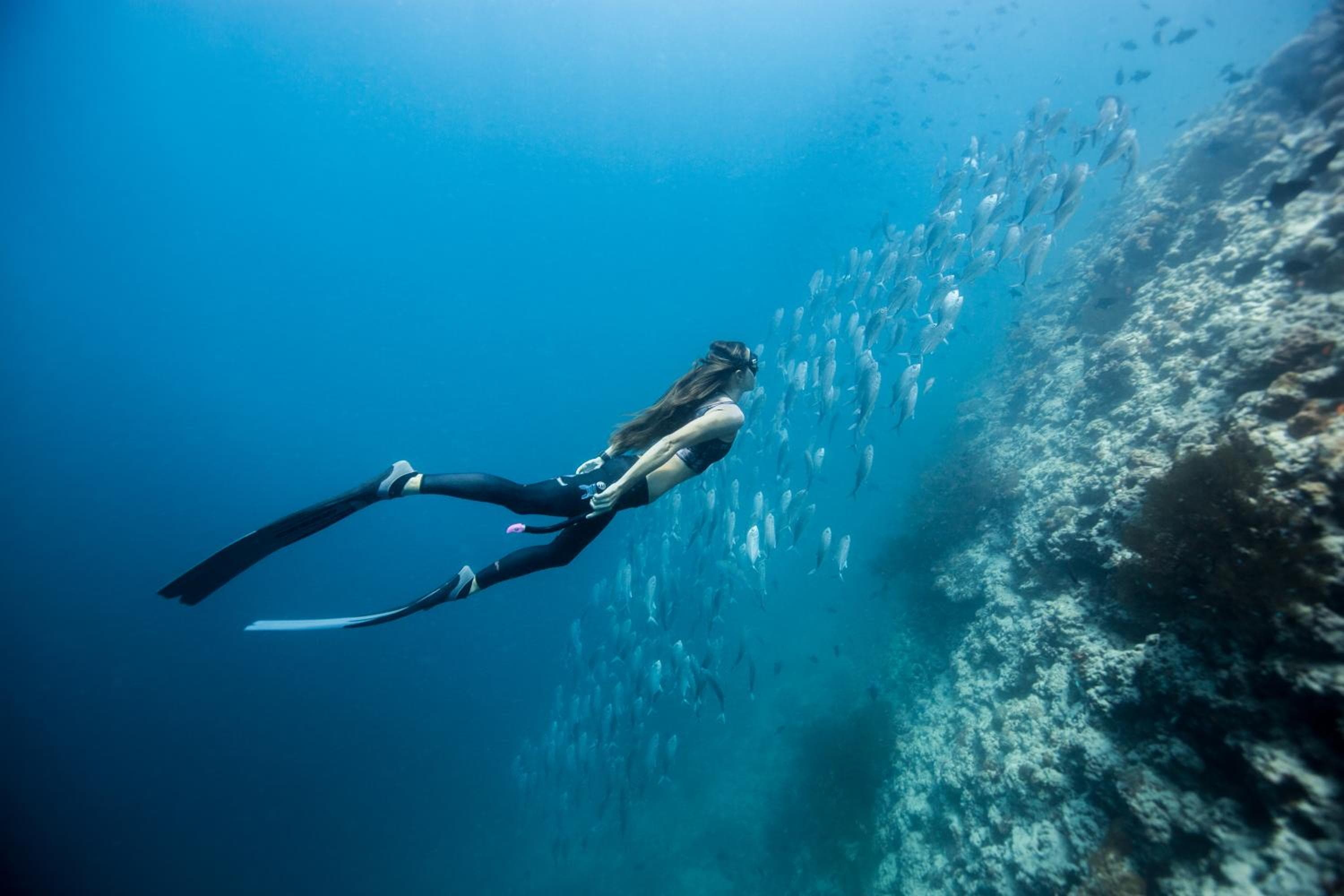 Dusit Thani Maldives - 50 percent off on Transfers for Stays of 5 Nights stay until 20 December 2026 - View 94