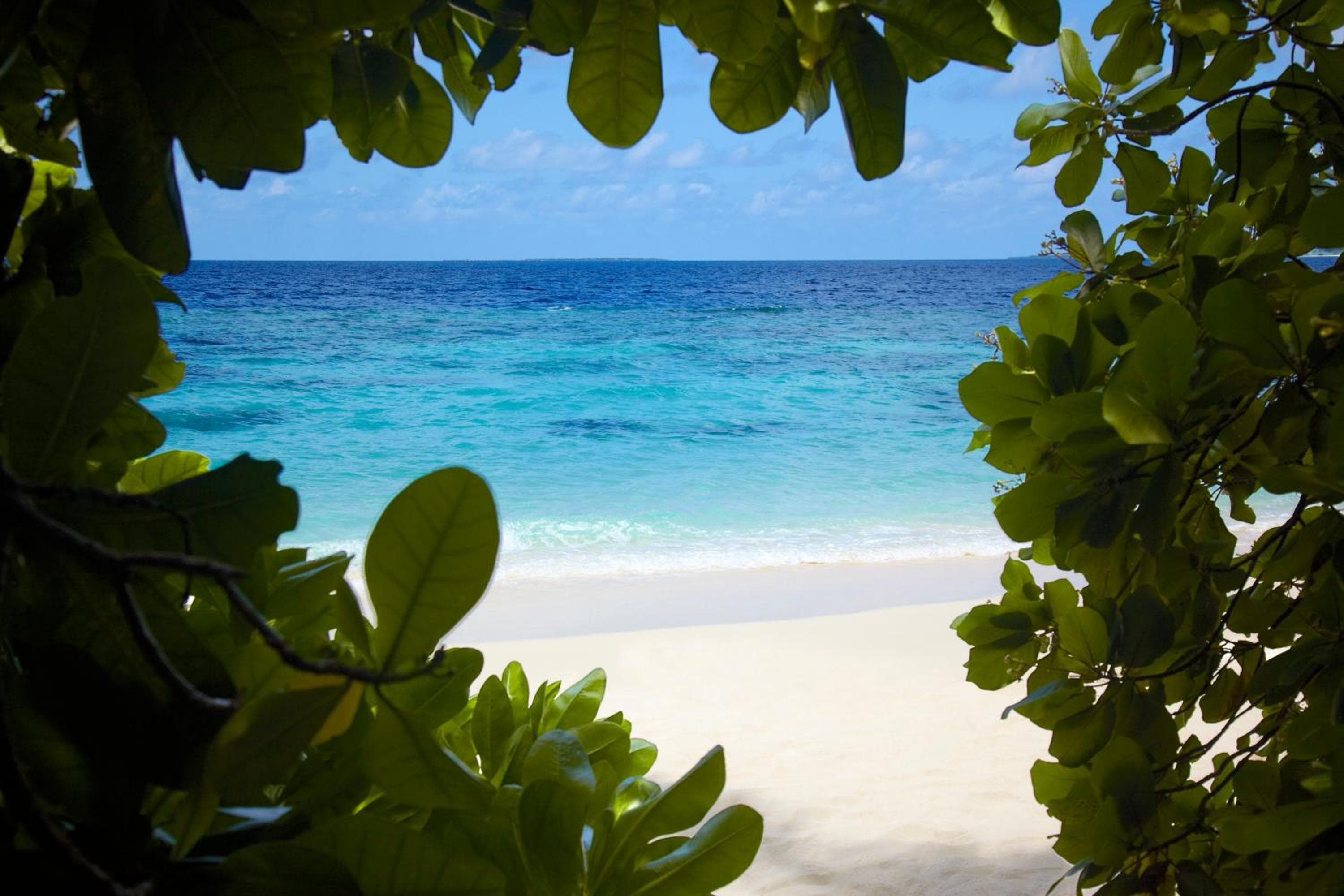 Dusit Thani Maldives - 50 percent off on Transfers for Stays of 5 Nights stay until 20 December 2026 - View 99