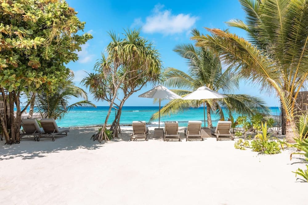 JA Manafaru, The Real Maldives - Complimentary Seaplane for 7 nights and more - Stay Period 01 May 2026 to 23 Dec 2026 - View 151