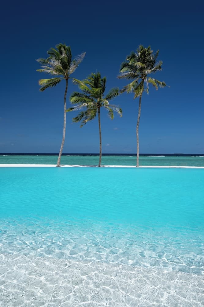 Ifuru Island Maldives - FREE Domestic Flight Transfer for 1 Person with a Minimum 5 Night Stay between 20th April and 15th October - View 38